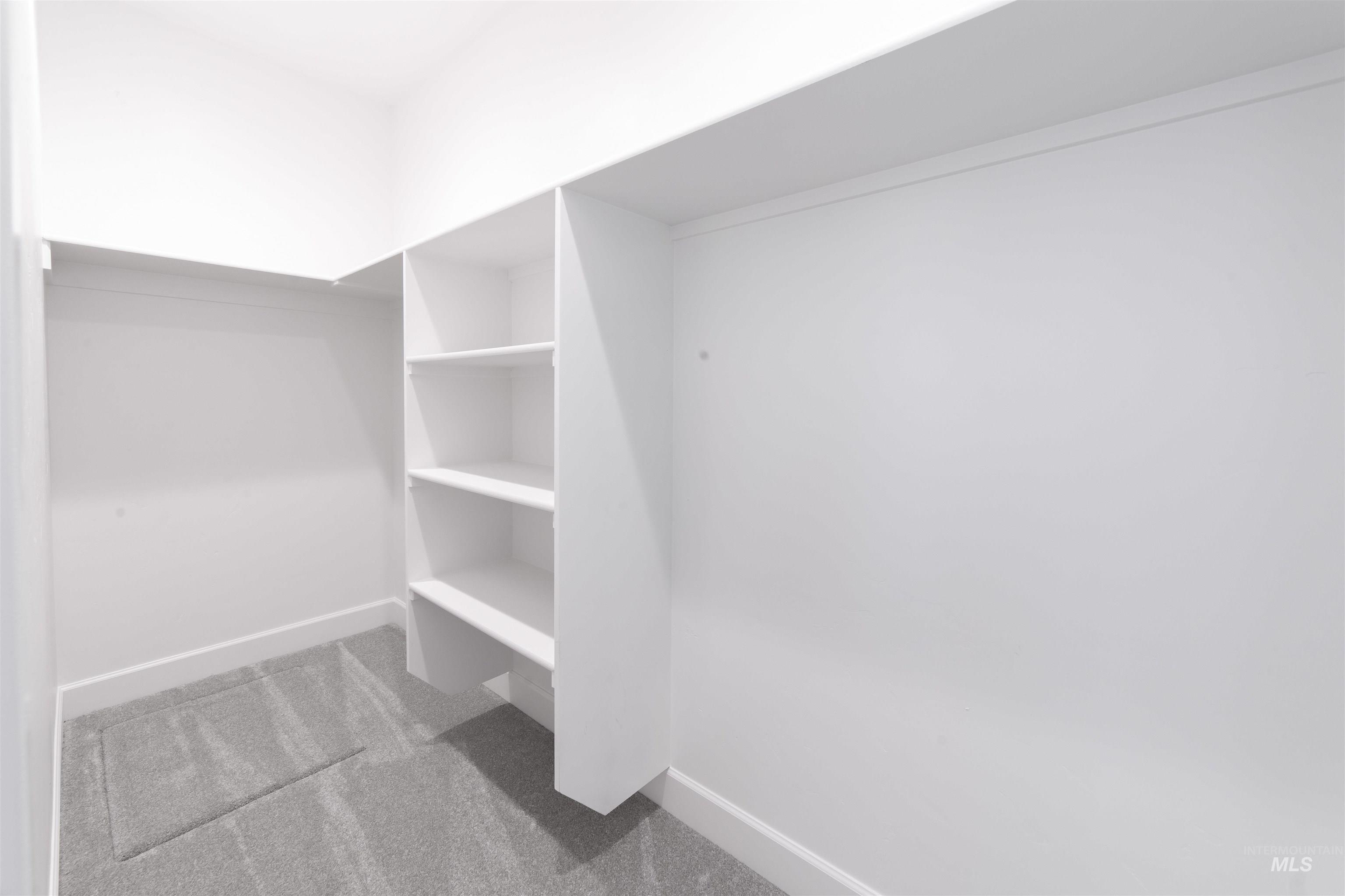 Spacious closet with carpet floors