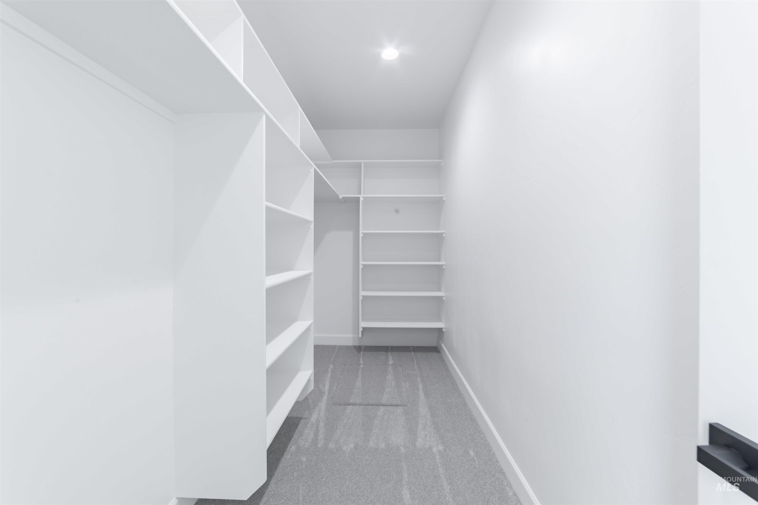Walk in closet with carpet floors