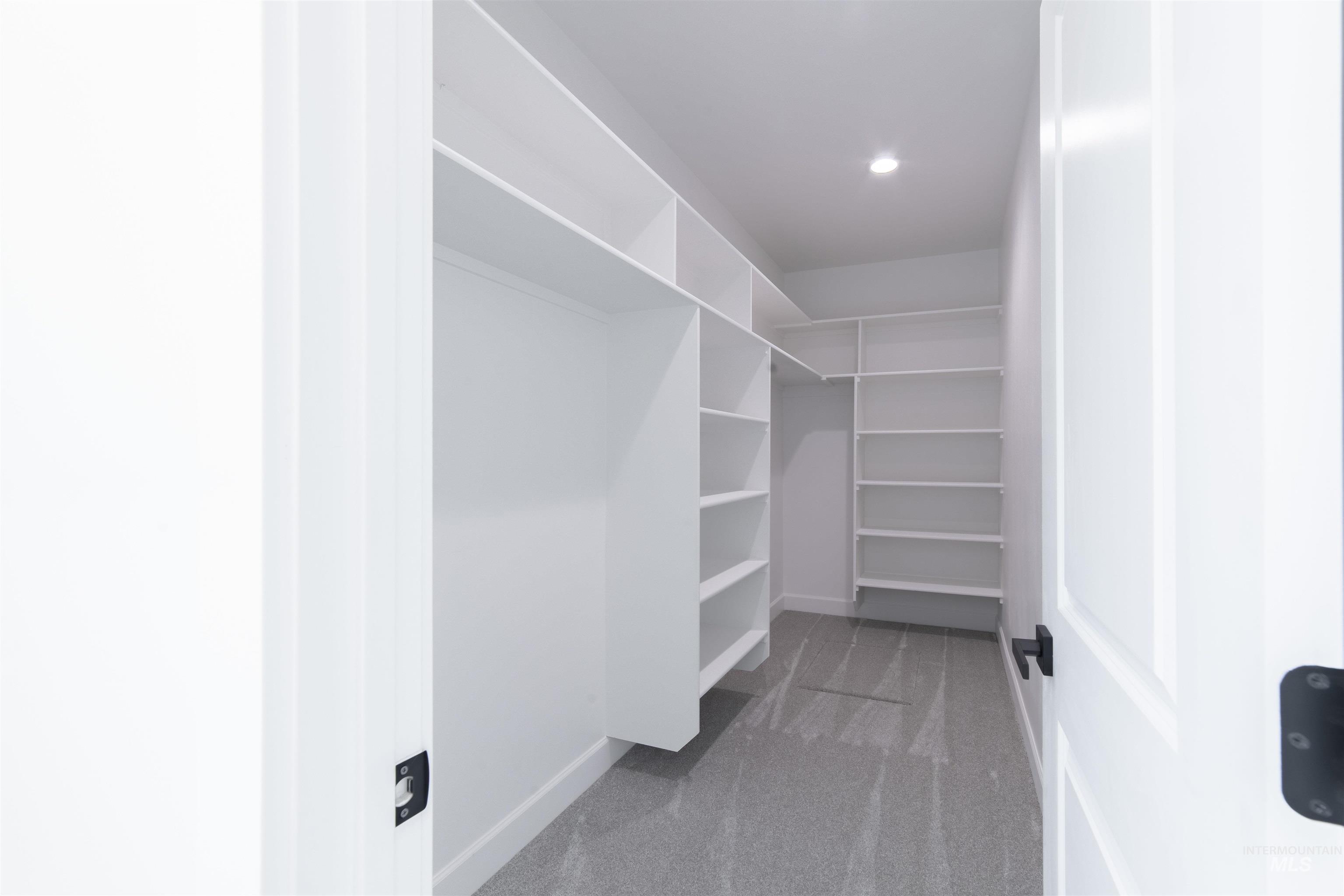 Spacious closet with carpet