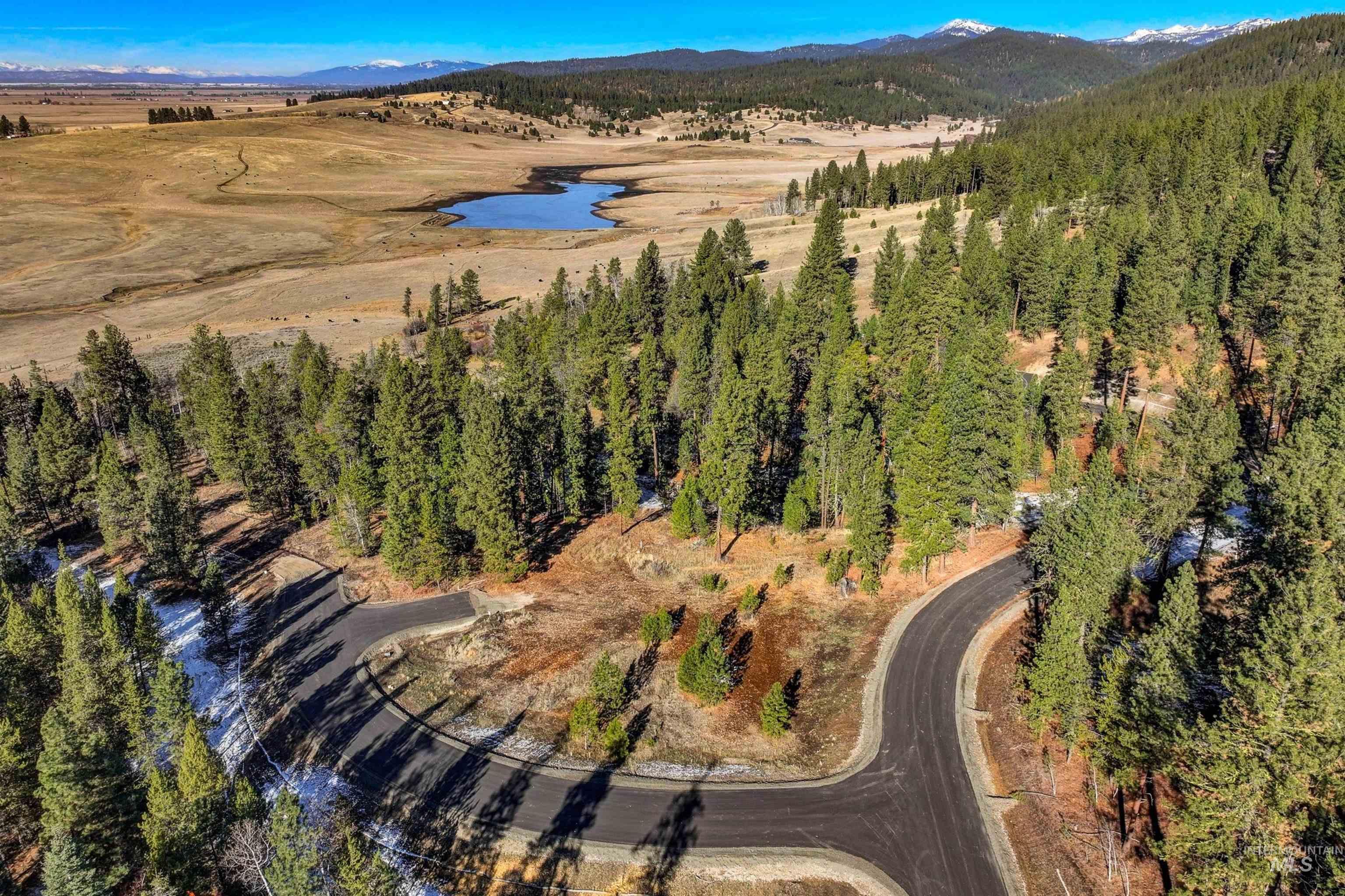 None
