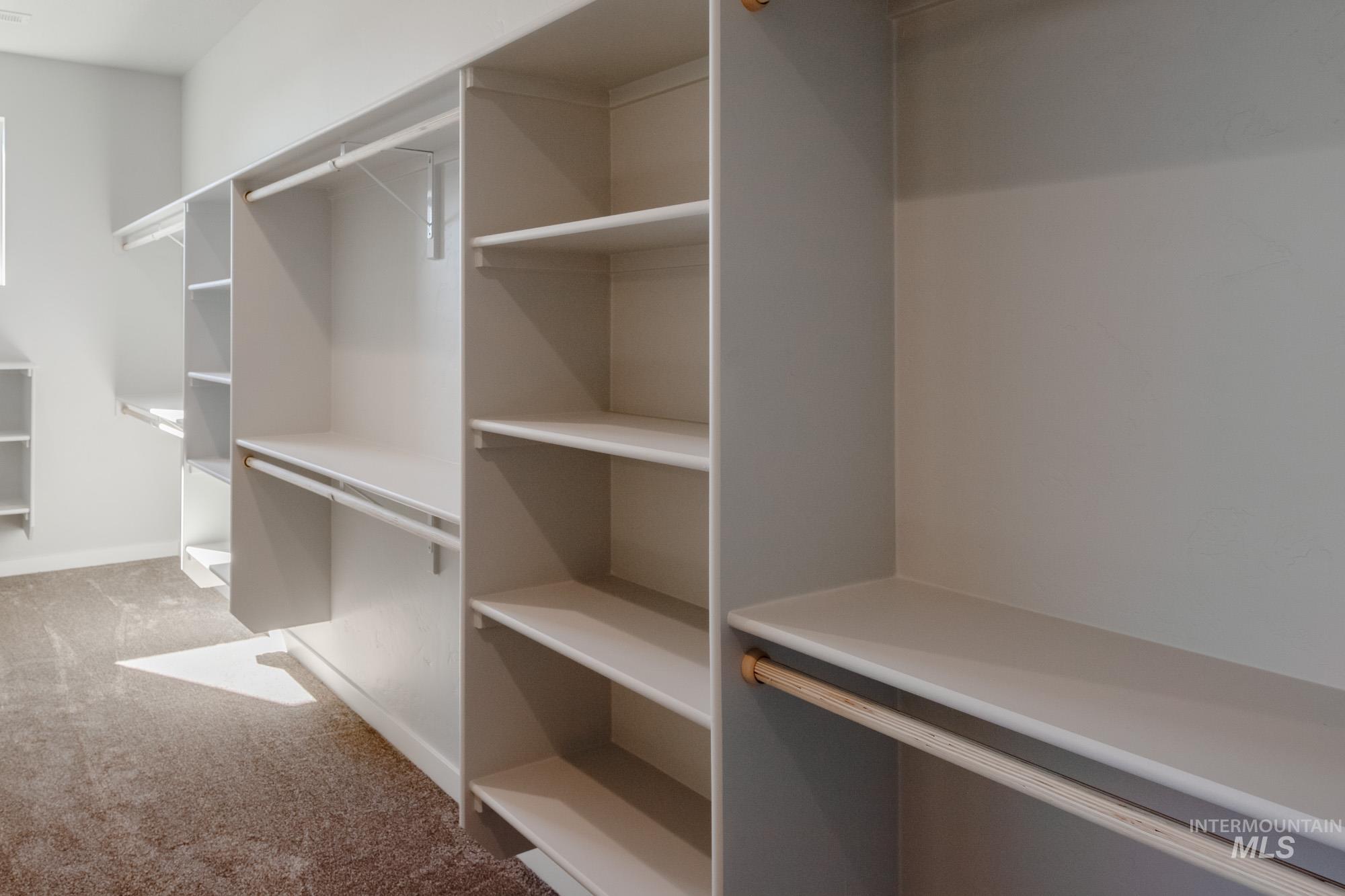 Walk in closet featuring carpet