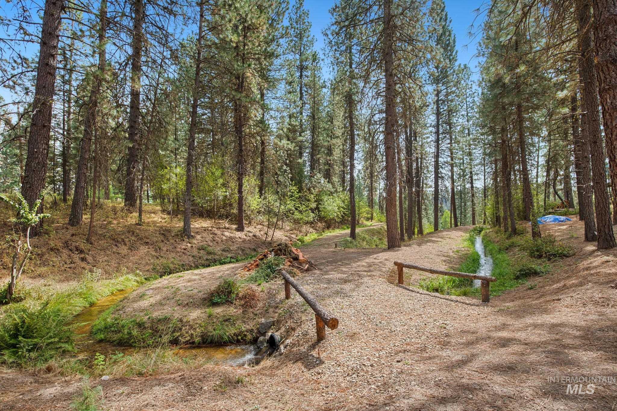 View of yard with a wooded view