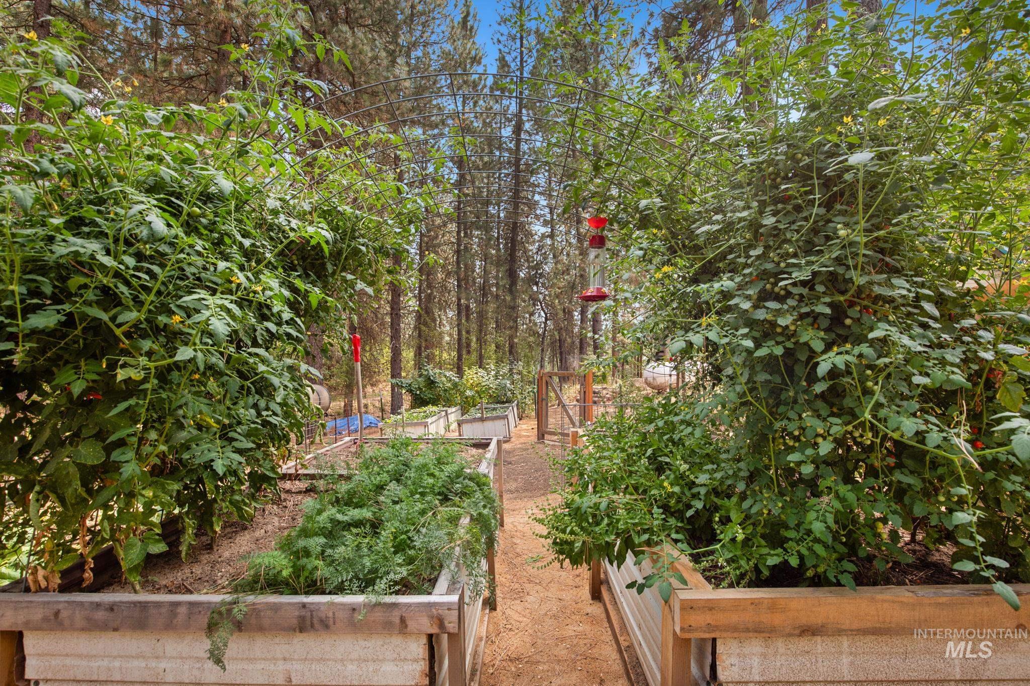 View of yard featuring a vegetable garden