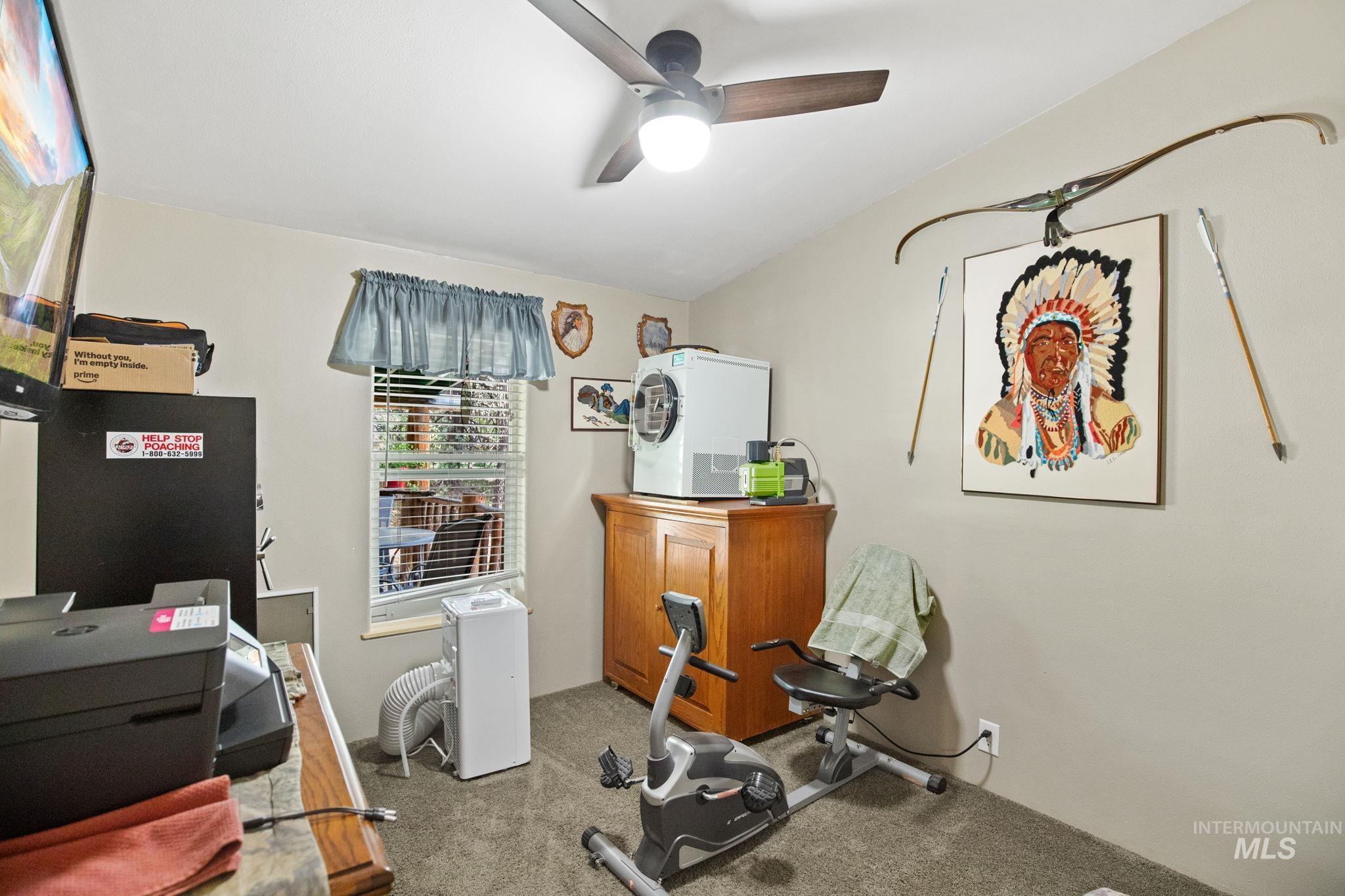 Workout room featuring carpet and a ceiling fan
