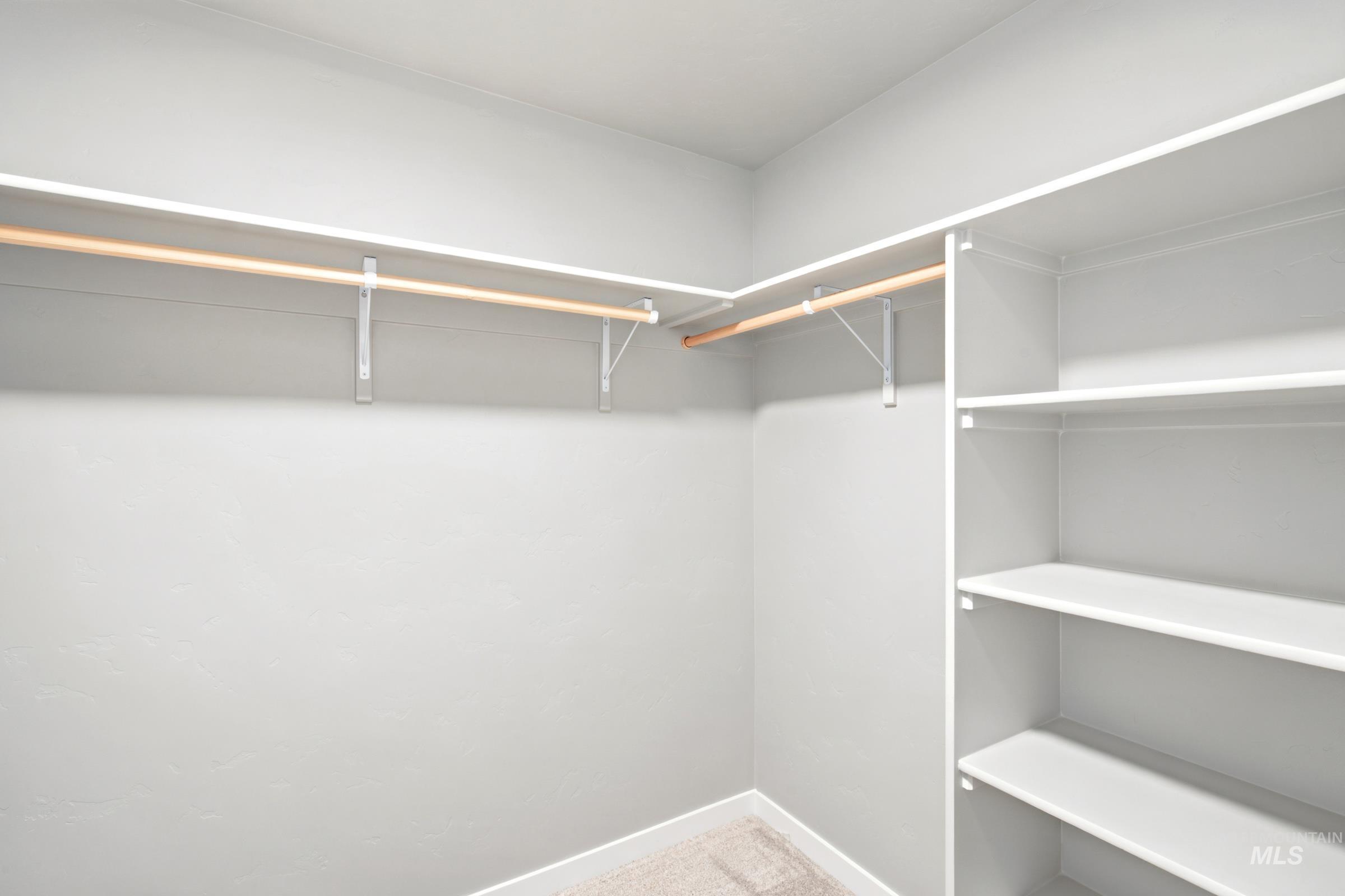 Walk-in closet featuring light gray walls, built-in shelving, two hanging rods, and light-toned carpeting