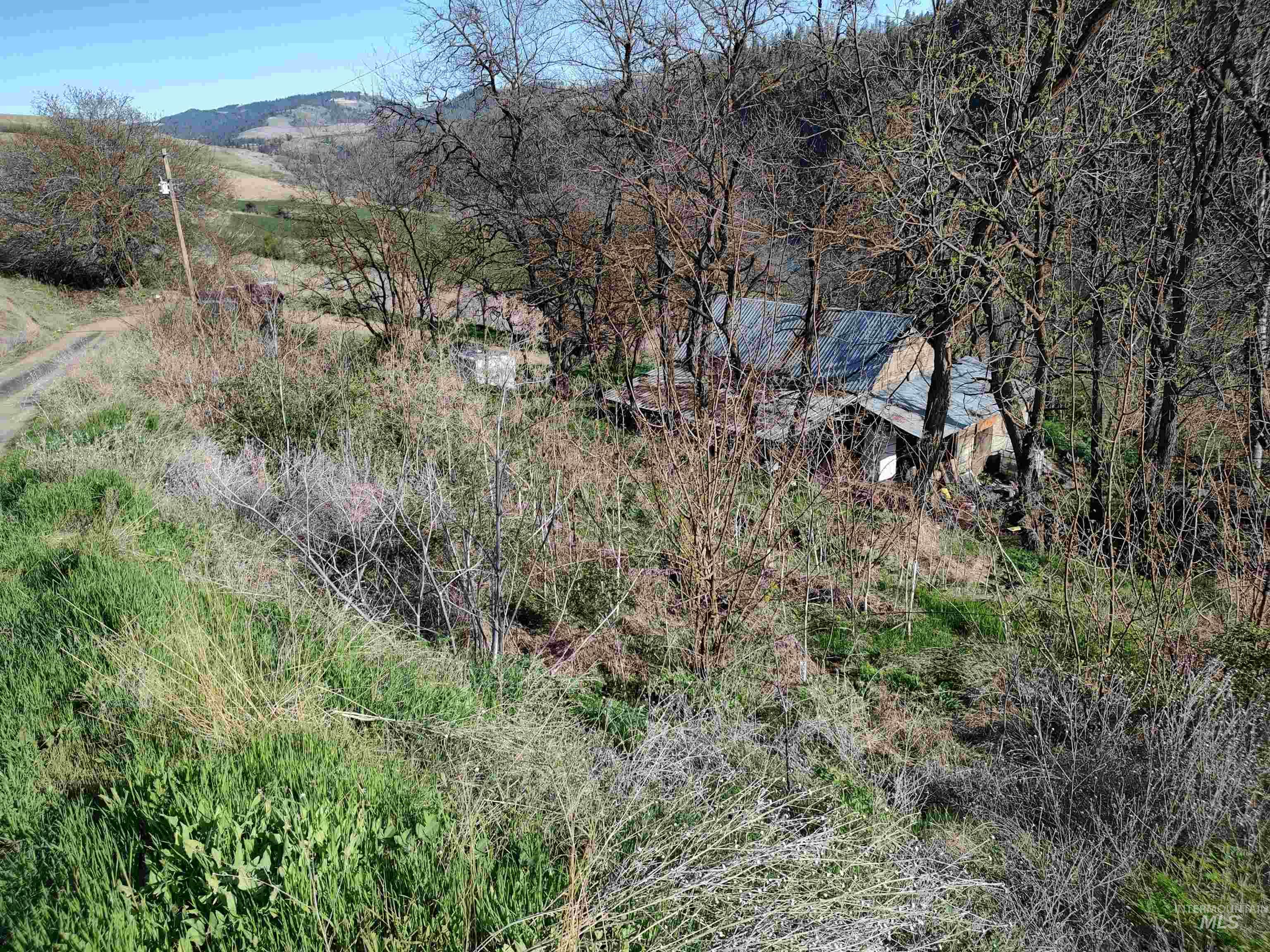 31803 Cherry Ranch Lane, Lenore, Idaho image 21