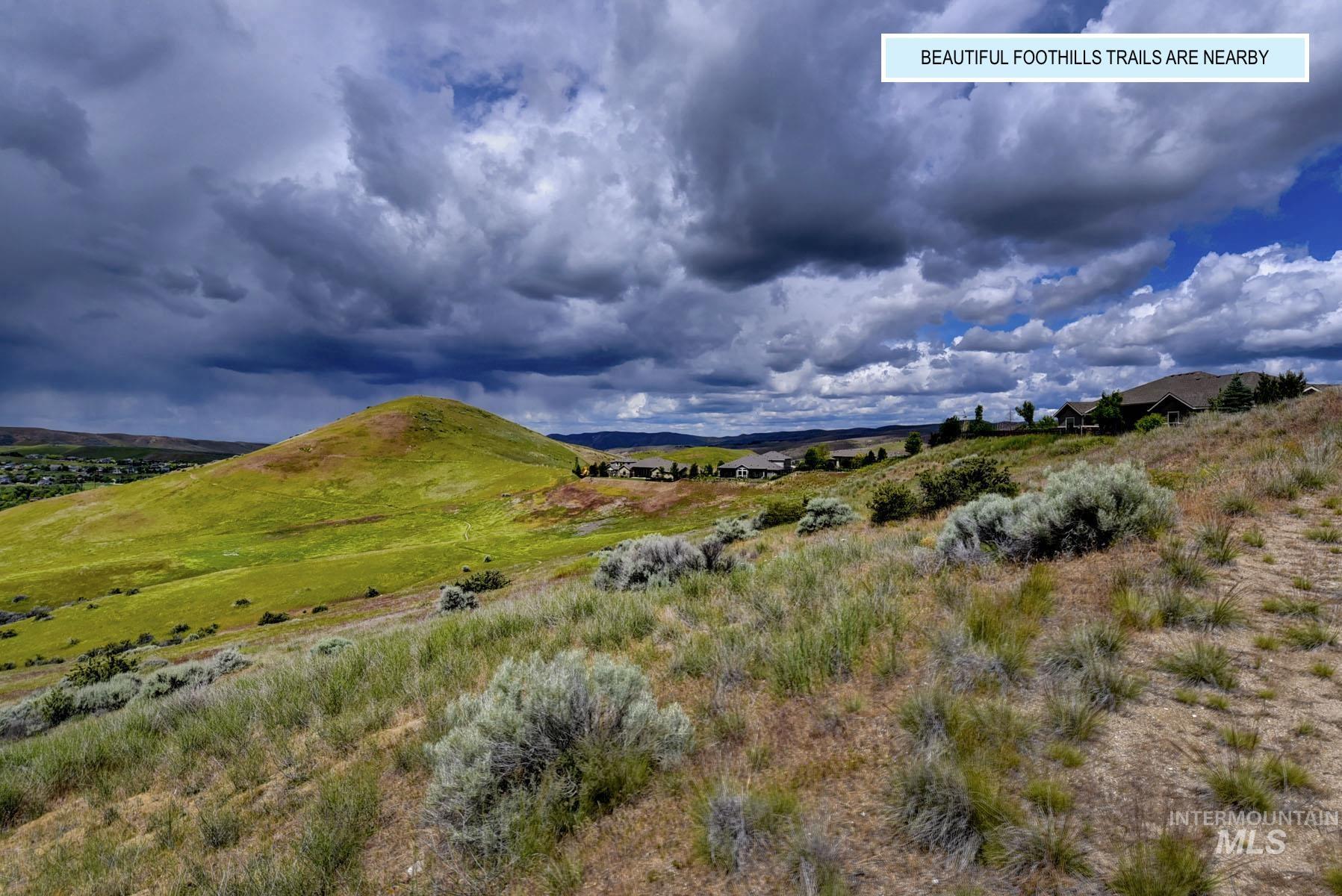 Nearby foothills trails with green hills and a dramatic cloudy sky