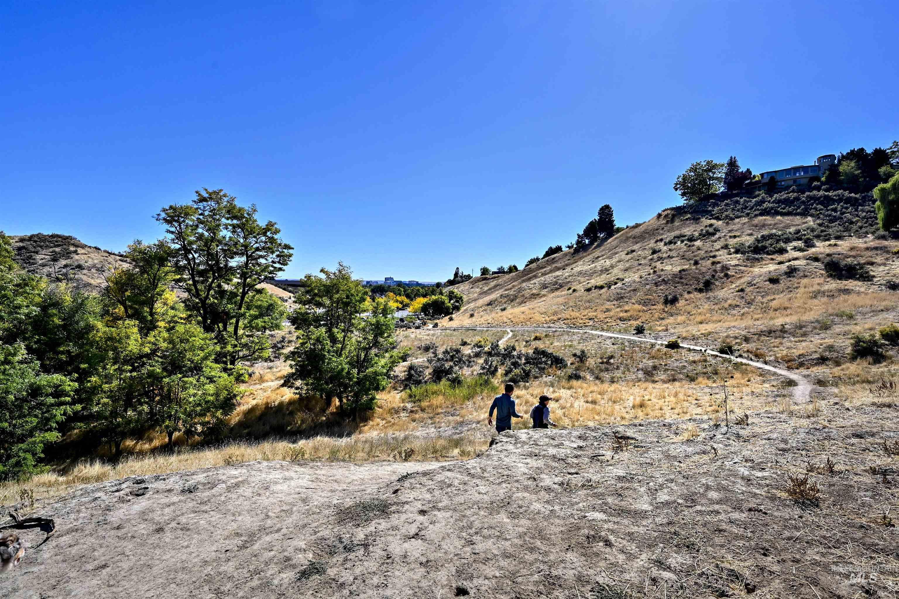 Nearby foothills trails with green hills and a bright blue  sky