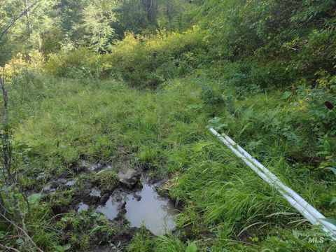 Photo of 480 Burnt Creek Rd, CottonWood, ID 83522 (MLS # 98957580)