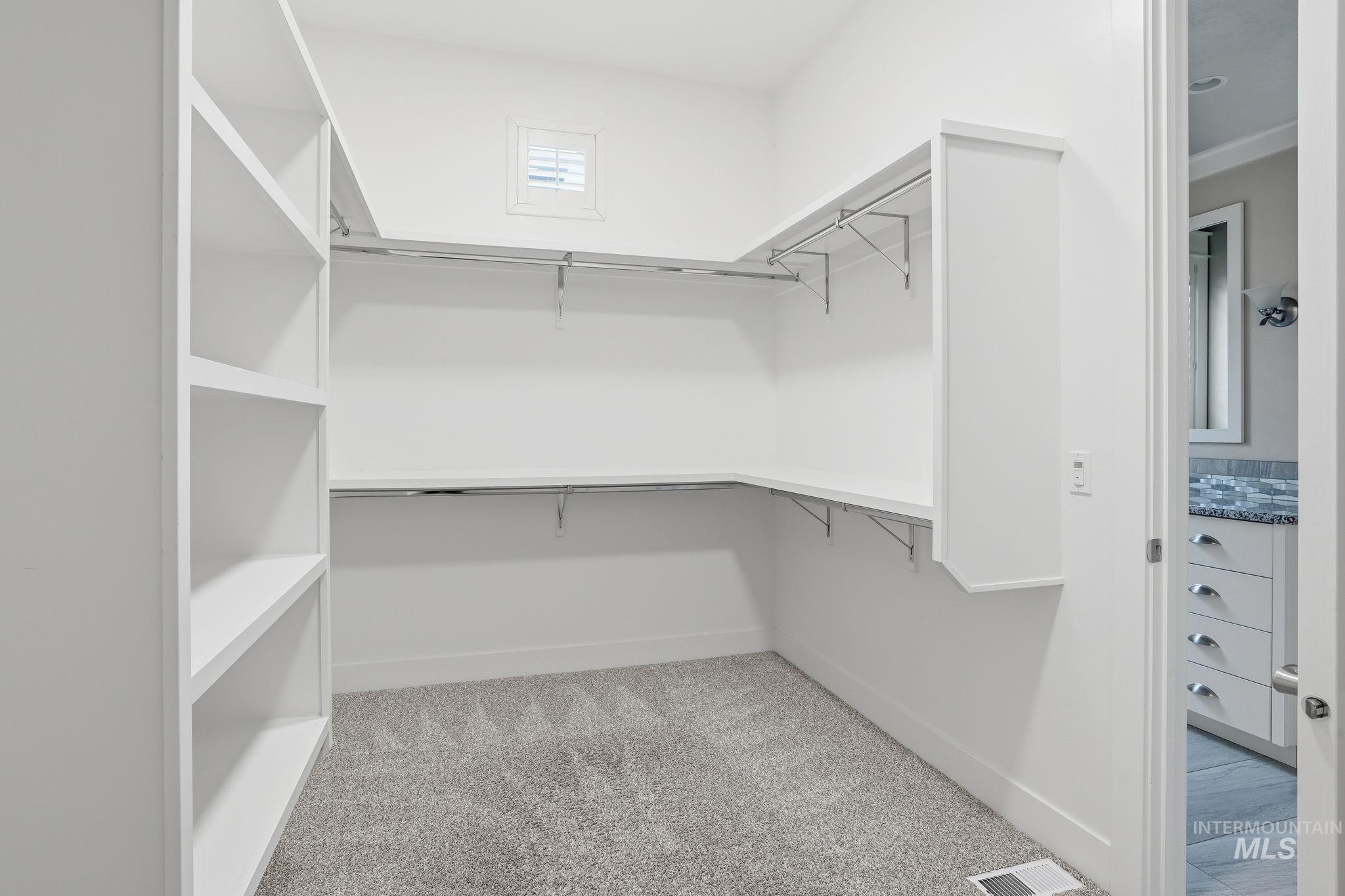 Spacious closet featuring light carpet