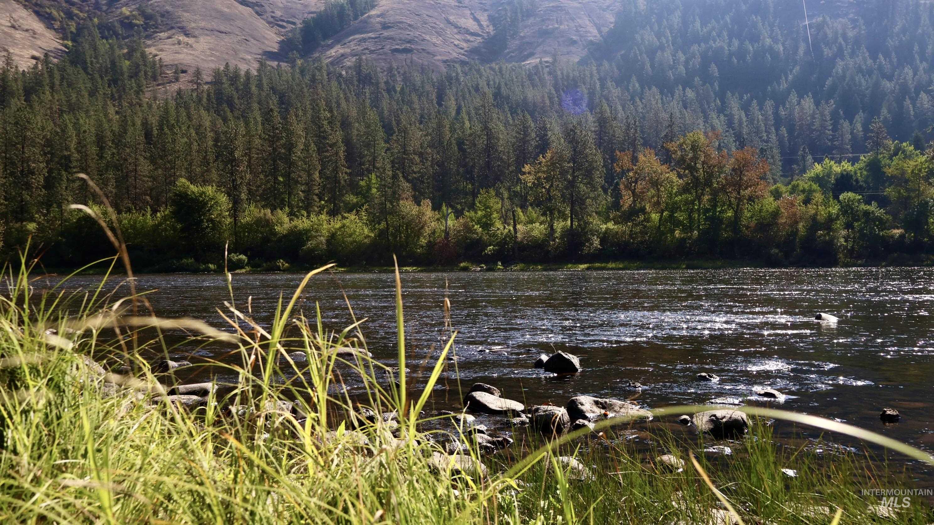 Water view featuring a forest and a mountain backdrop