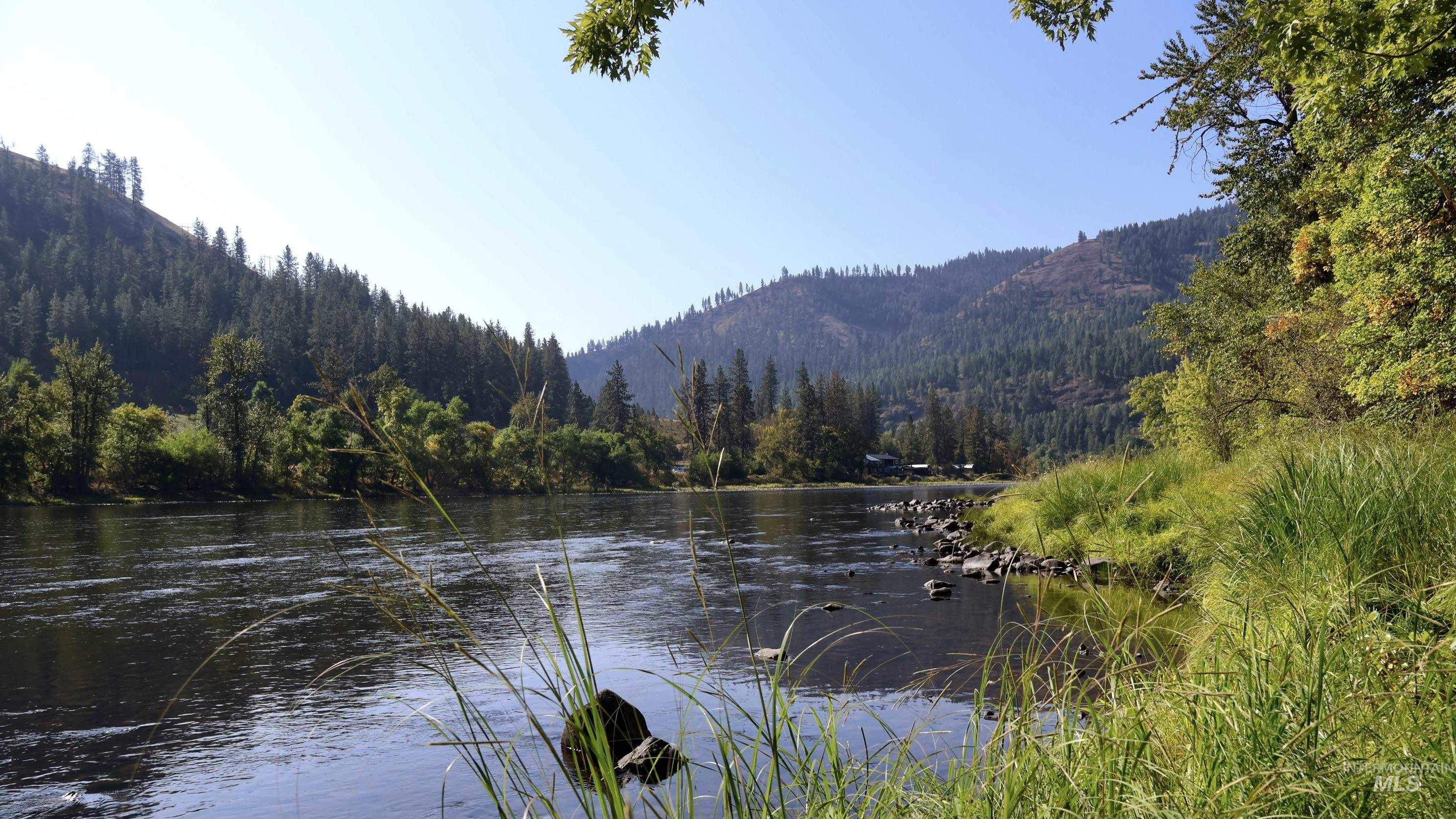 Water view featuring a forest and mountains