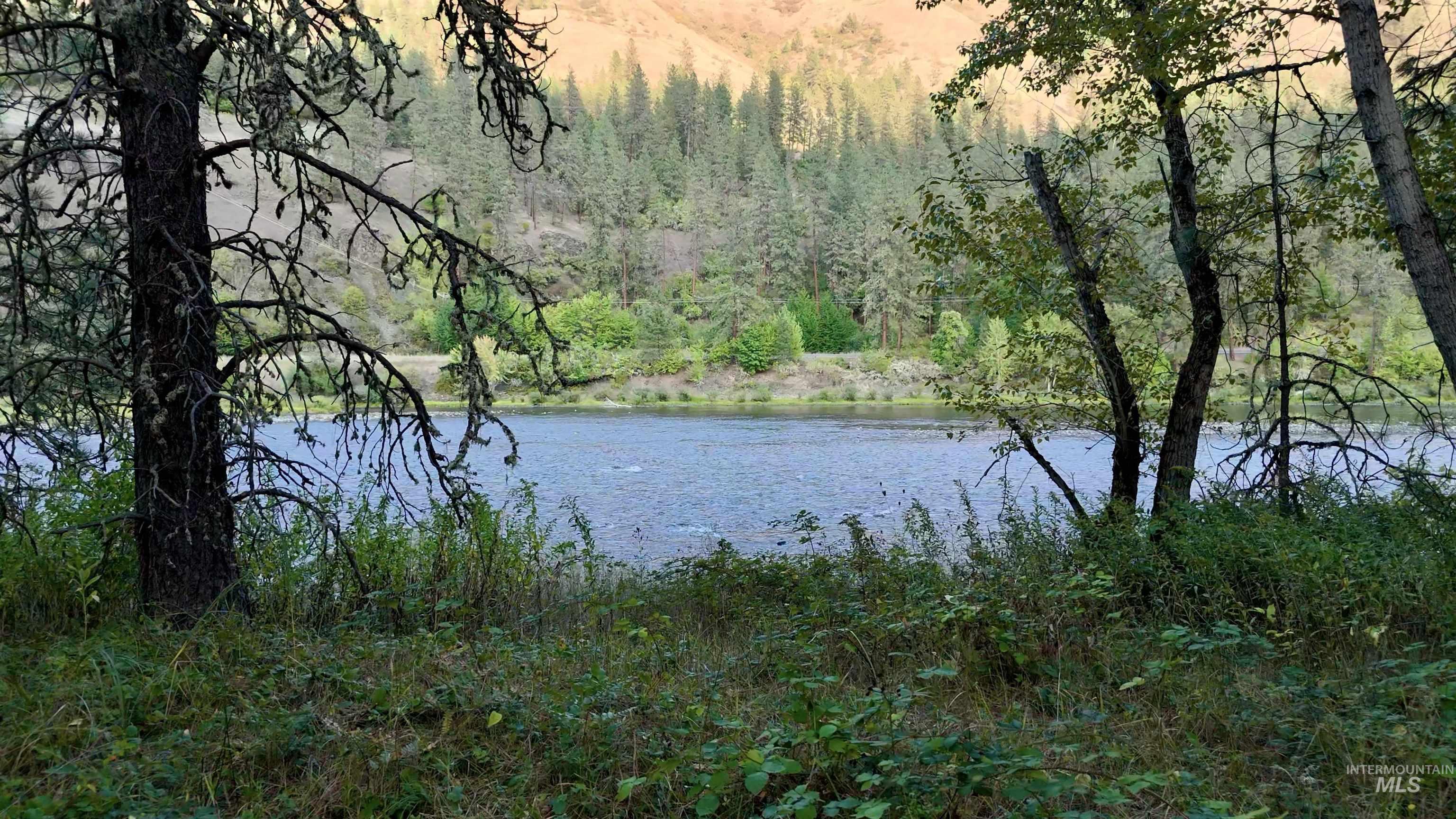 Water view with a heavily wooded area