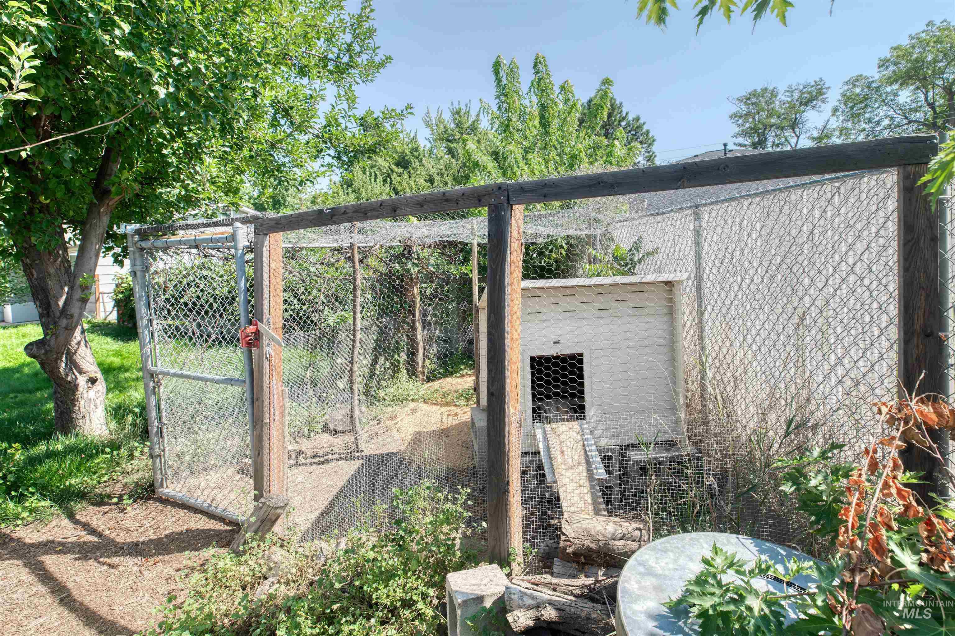 established effective system for chickens