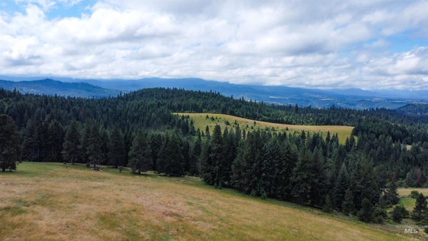 TBD RED FIR RD, KOOSKIA, ID 83539 - Image 90db2d7cb62fce5d81758e66b6c2fa69/3907976818