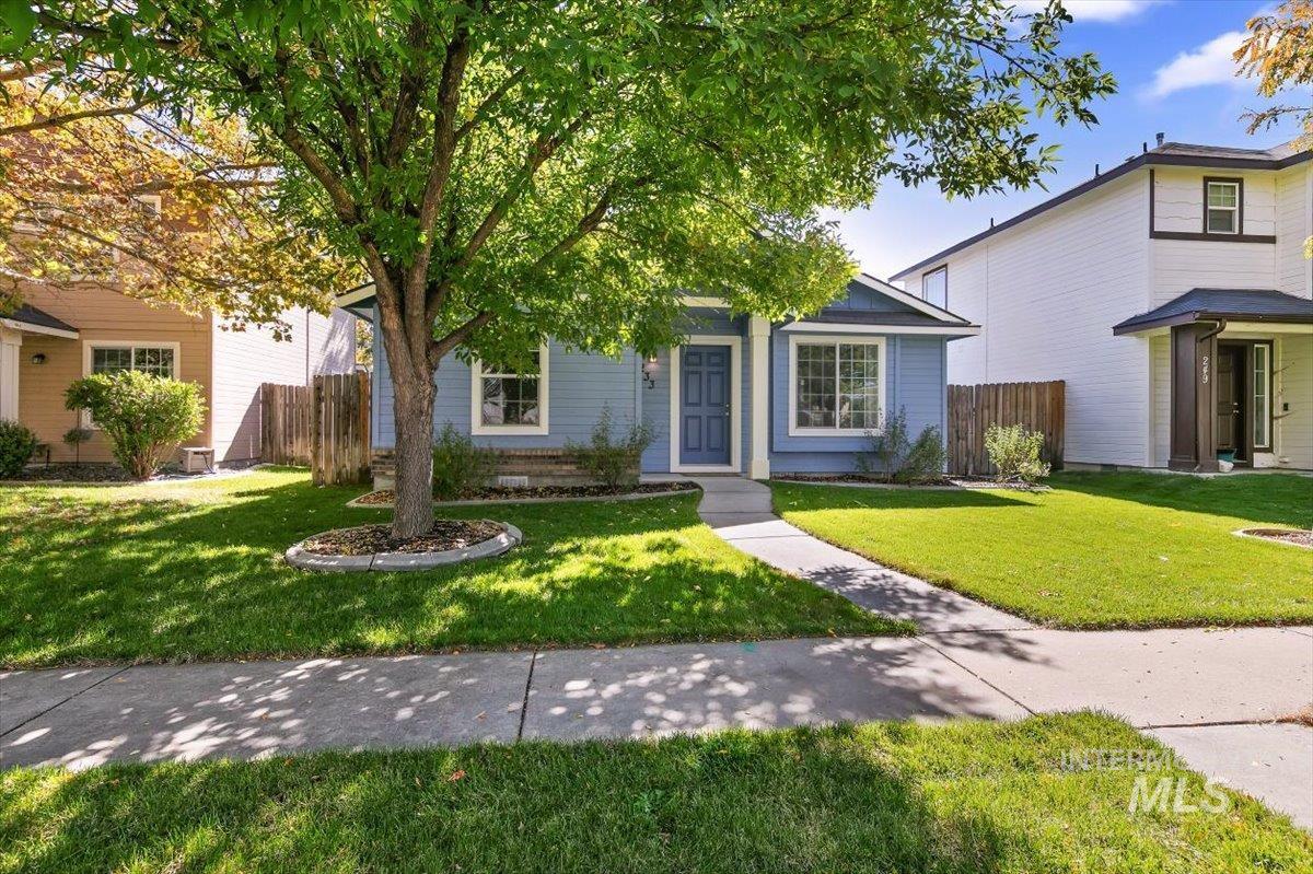 233 W Lava Falls Dr