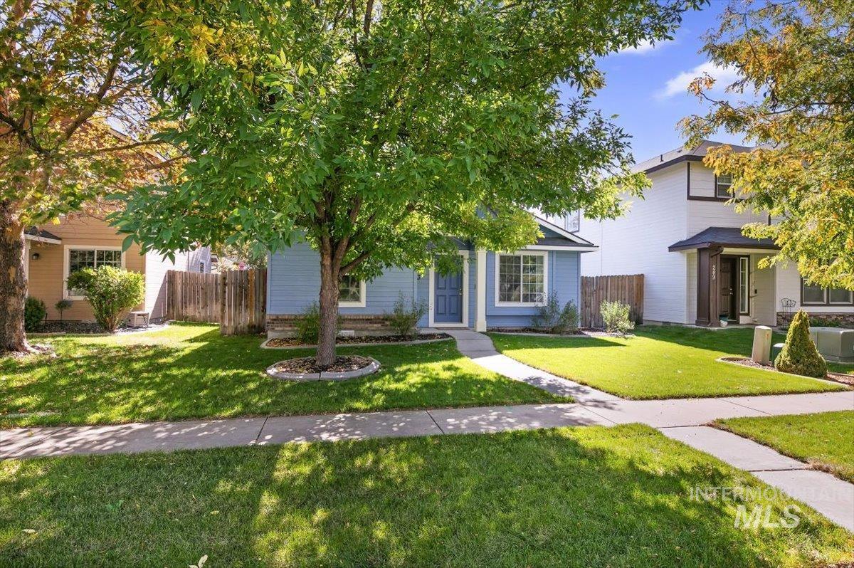 233 W Lava Falls Dr