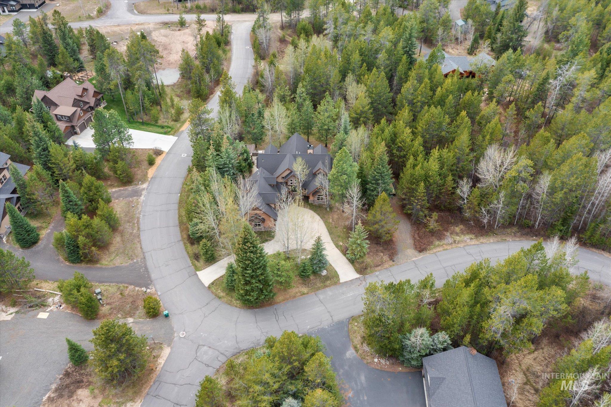 Wooded residential setting featuring a paved street and multiple properties