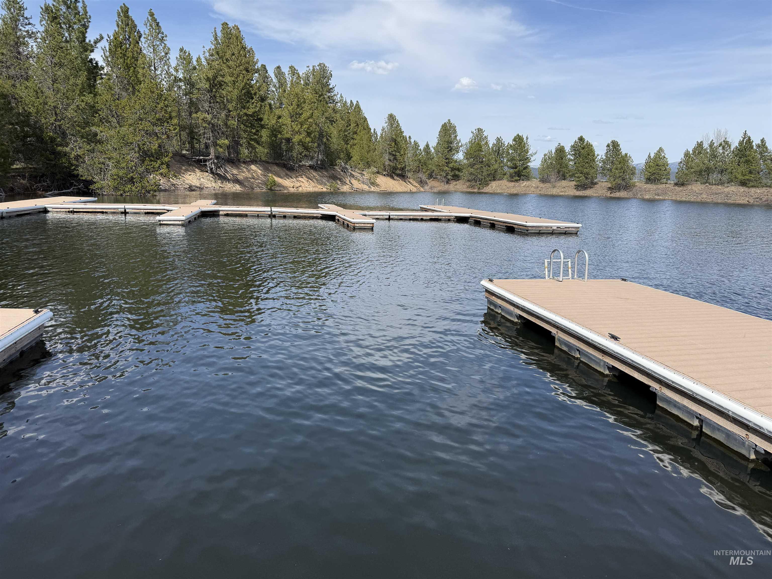 Floating dock system with composite decking, integrated ladder, and surrounding pine forest