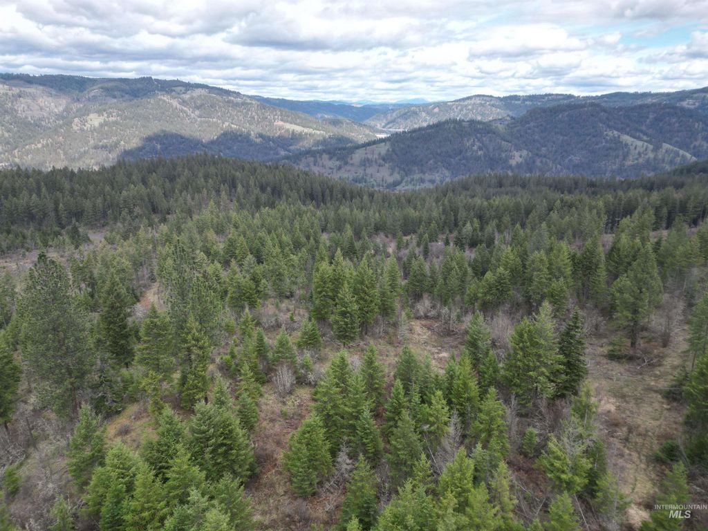 Photo of TBD O'brien, Orofino, ID 83544 (MLS # 98980747)