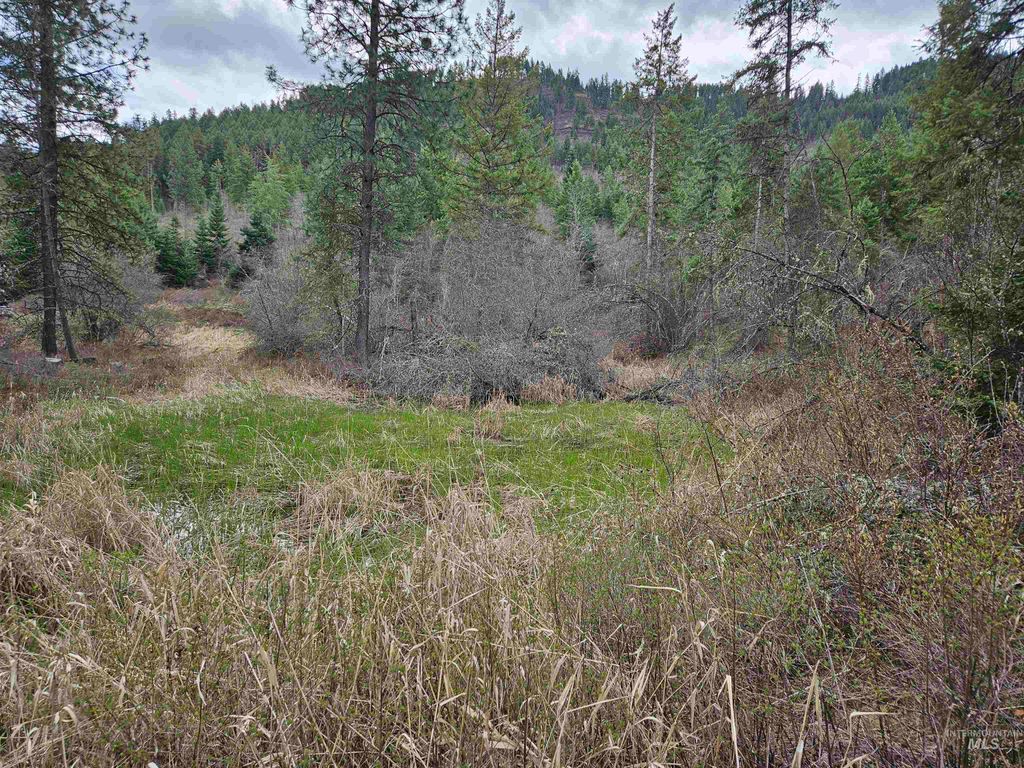 Photo of TBD O'brien, Orofino, ID 83544 (MLS # 98980747)