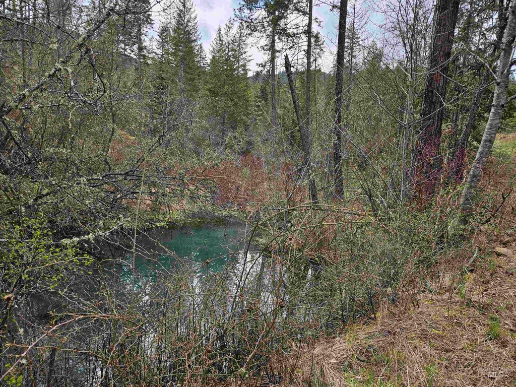 Photo of TBD O'brien, Orofino, ID 83544 (MLS # 98980747)