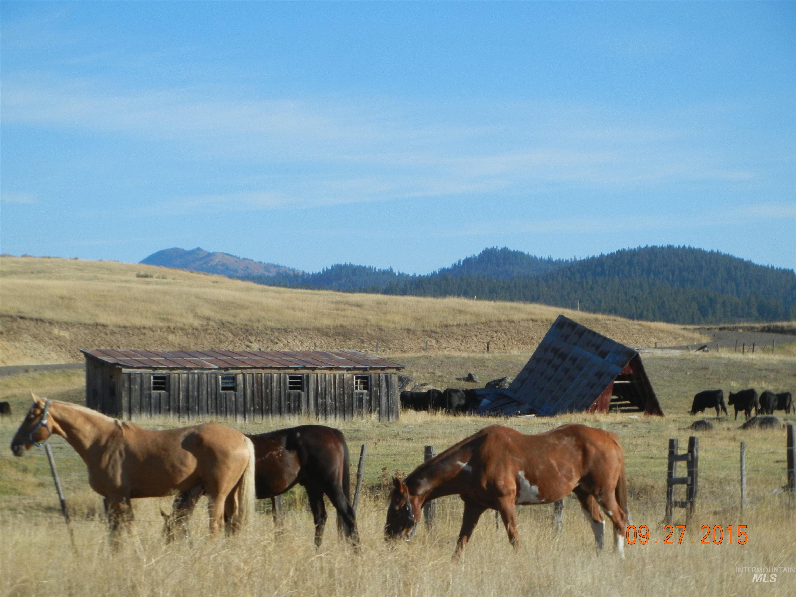 Stable with a rural view and a mountain view