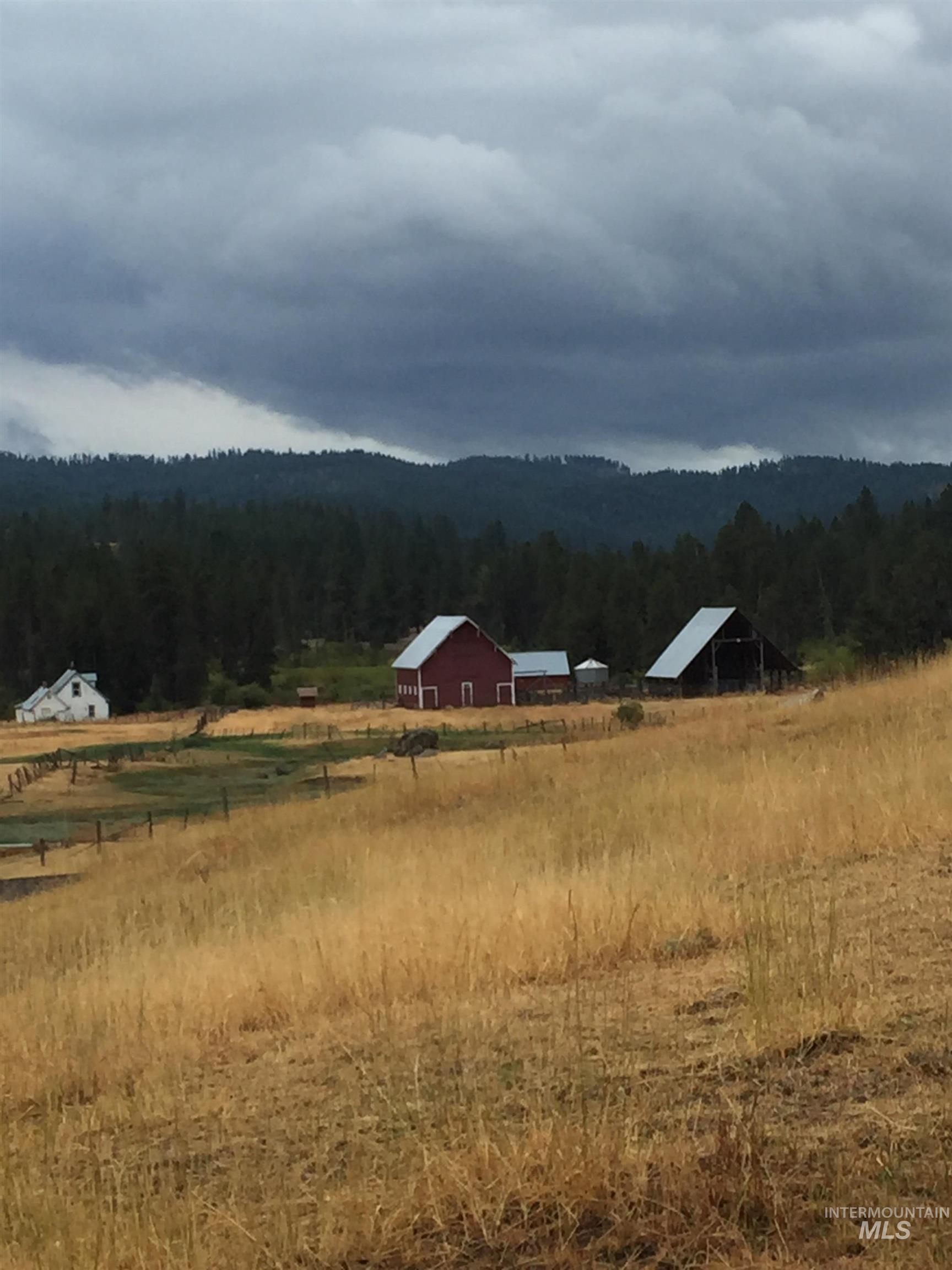 View of mountain background featuring a forest and rural landscape