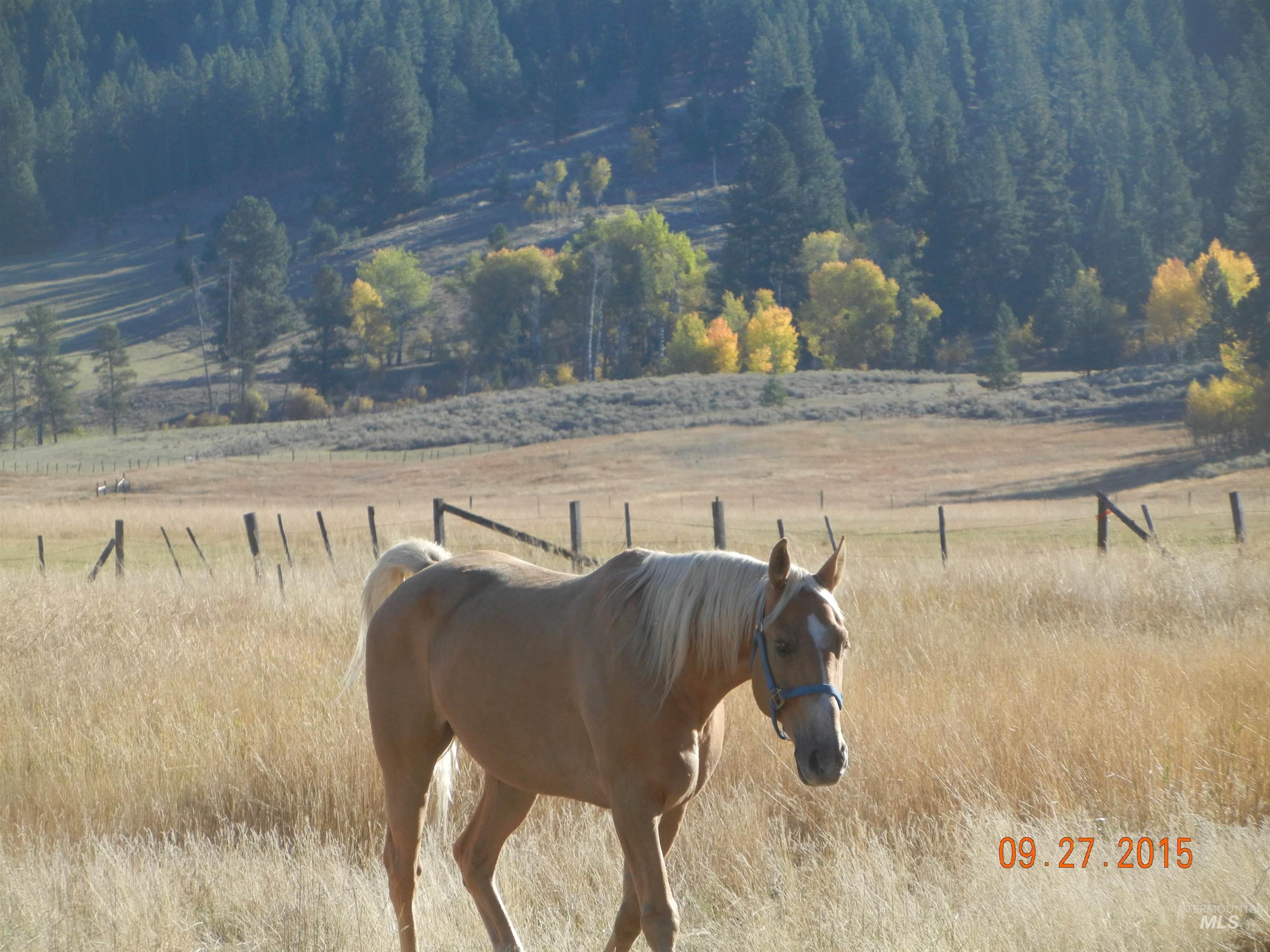 Exterior view of a heavily wooded area