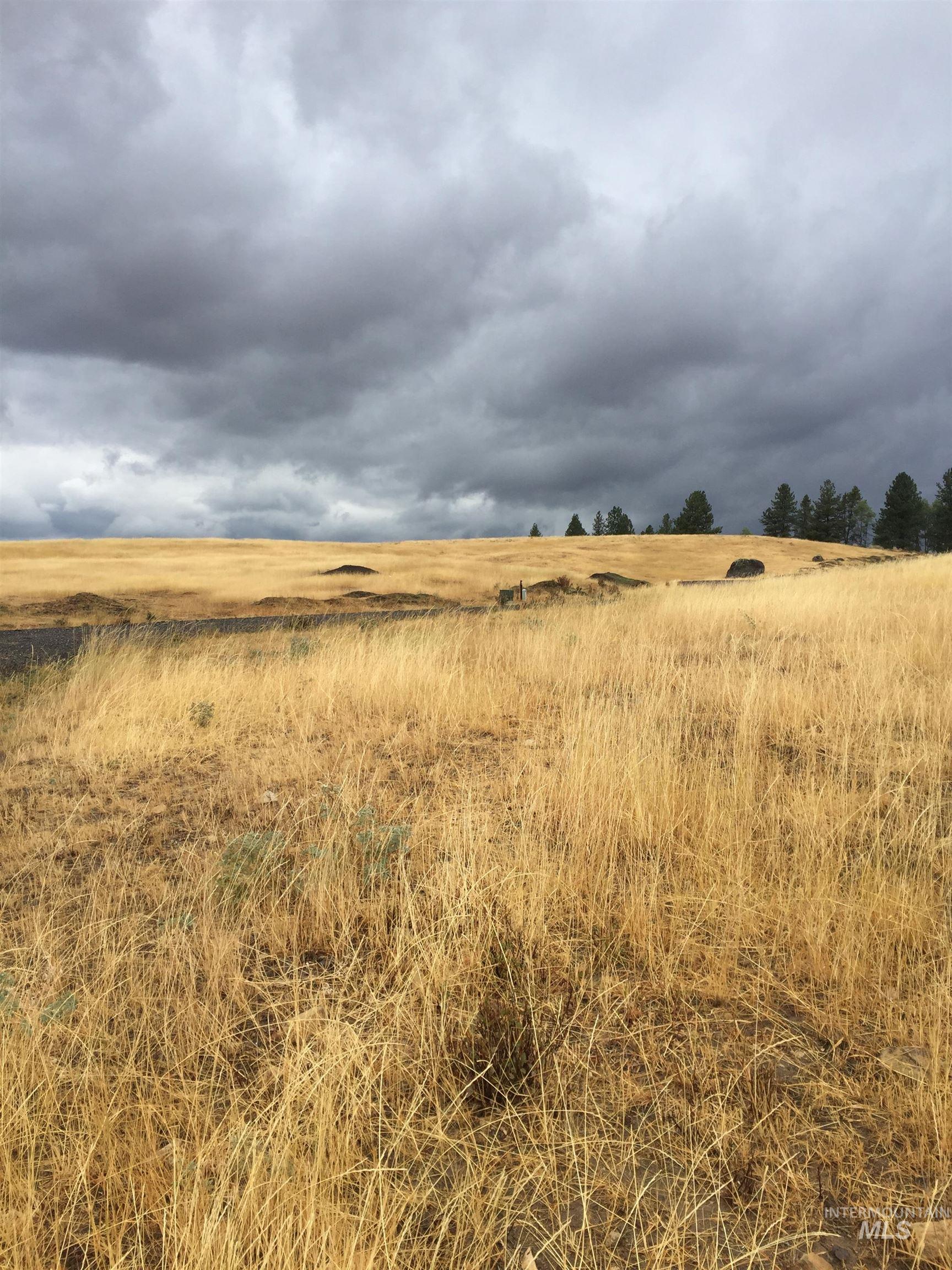 View of local wilderness with rural landscape