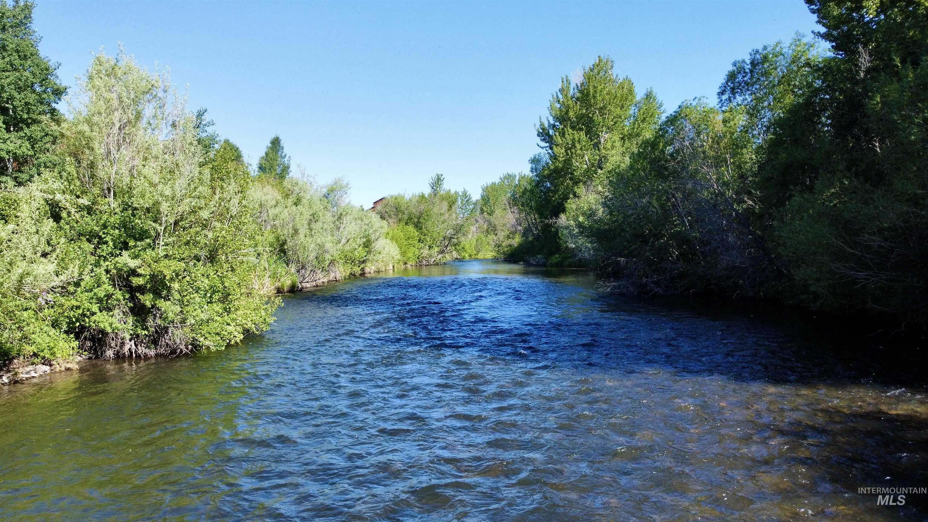 Water view featuring a heavily wooded area