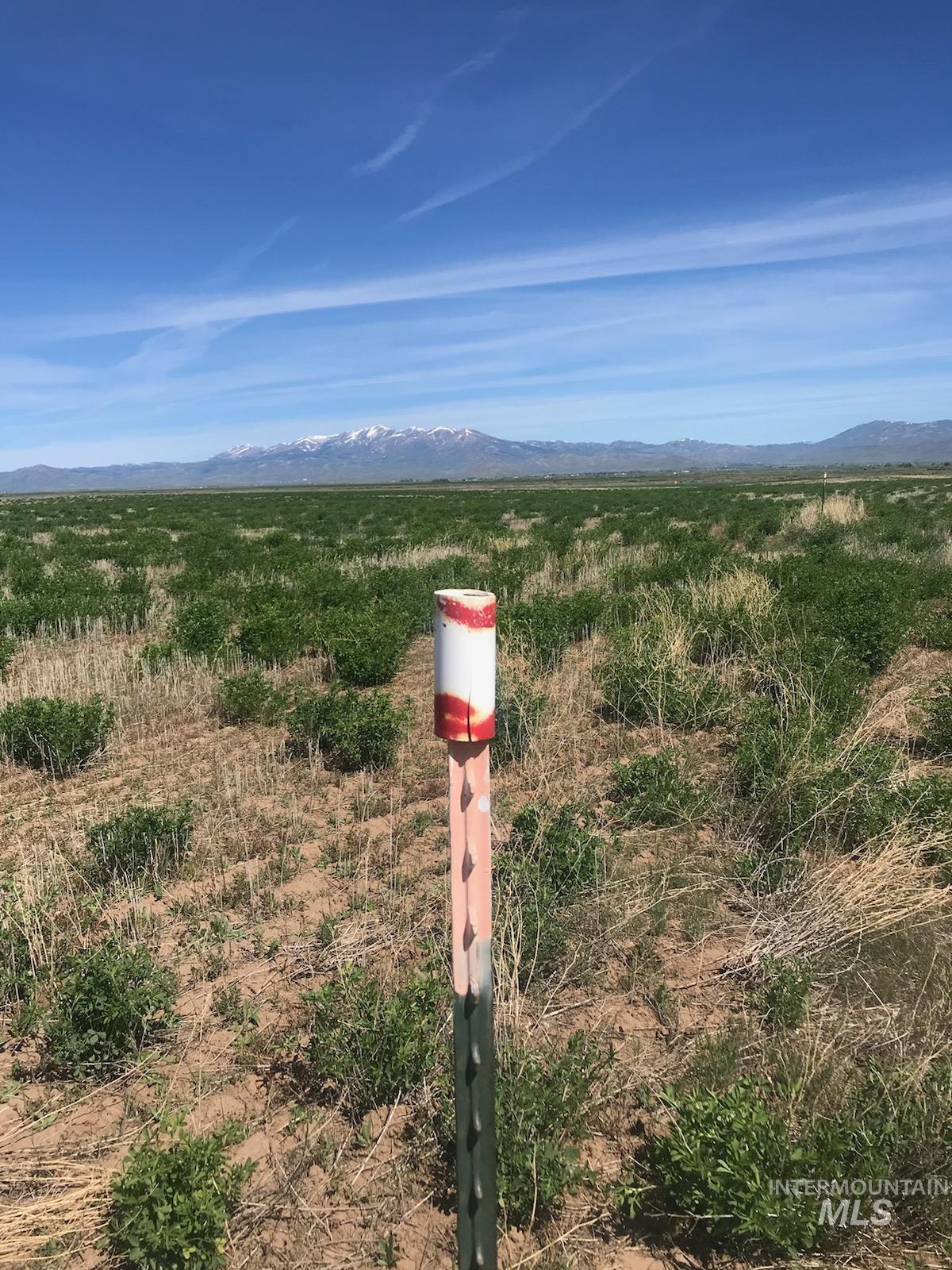 TBD Redtail Ln Lot 7 Blk 2