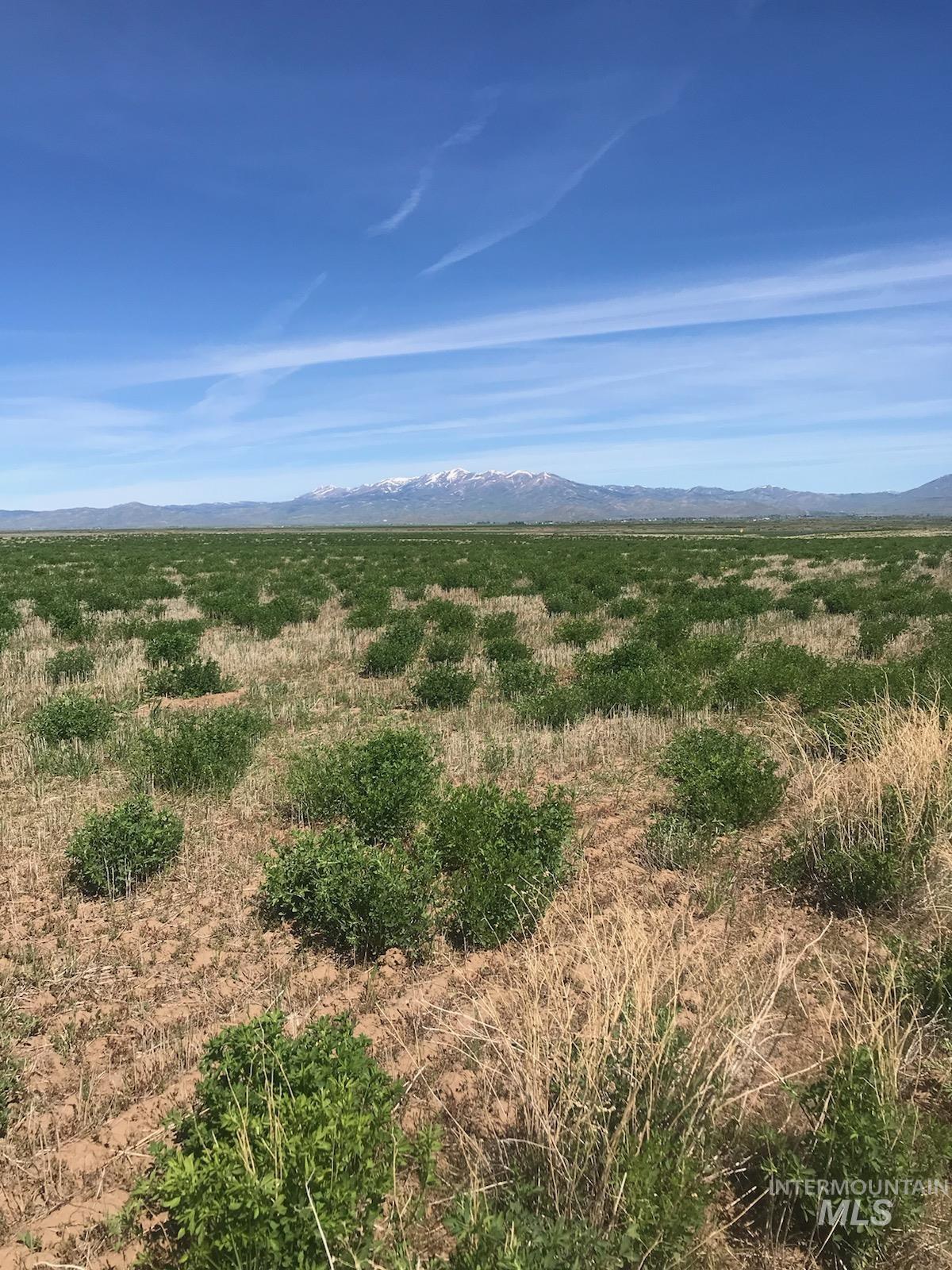 TBD Redtail Ln Lot 7 Blk 2