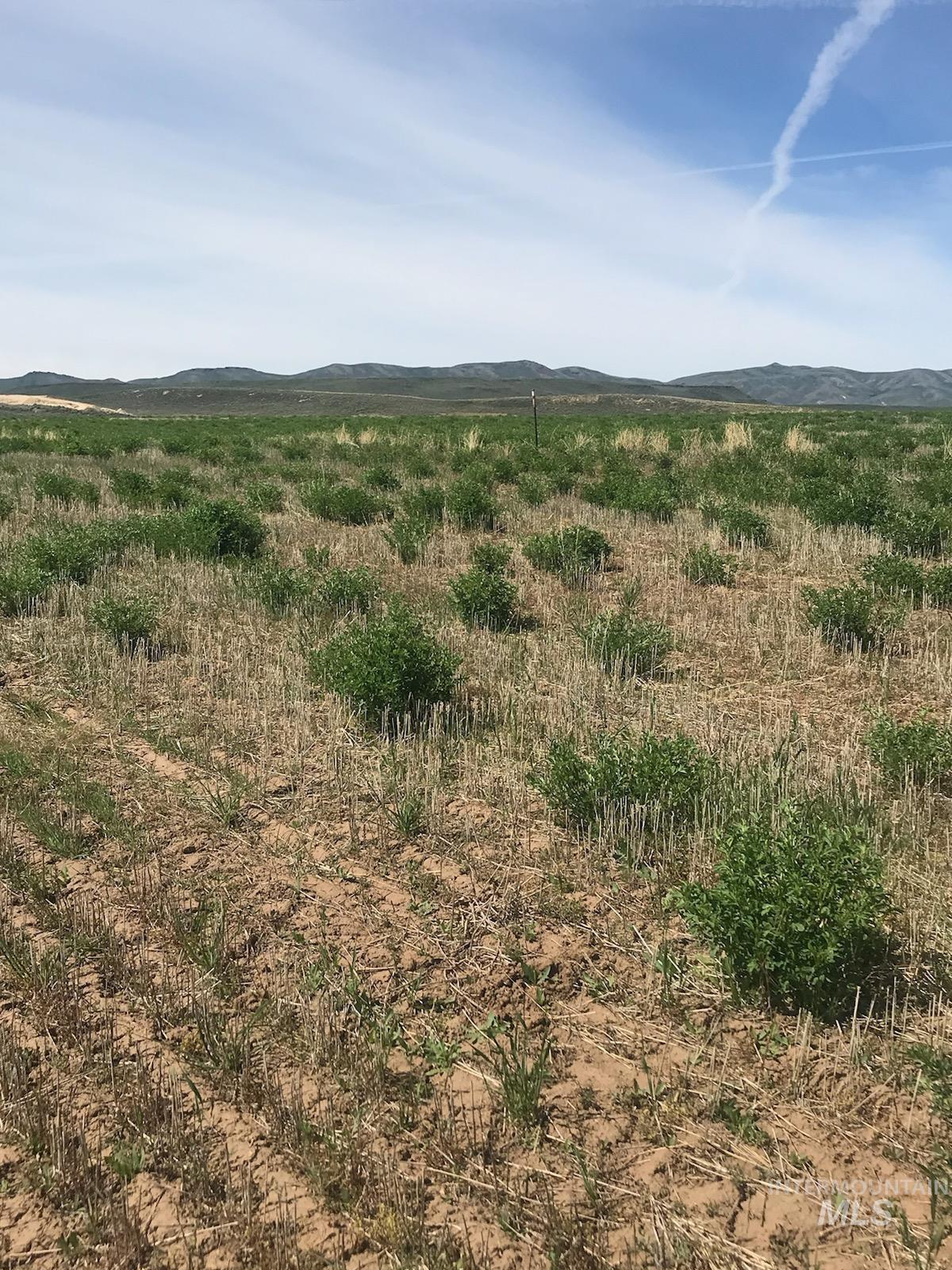 TBD Redtail Ln Lot 7 Blk 2