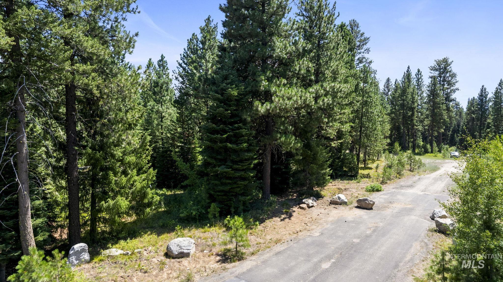 View of asphalt street with a forest view