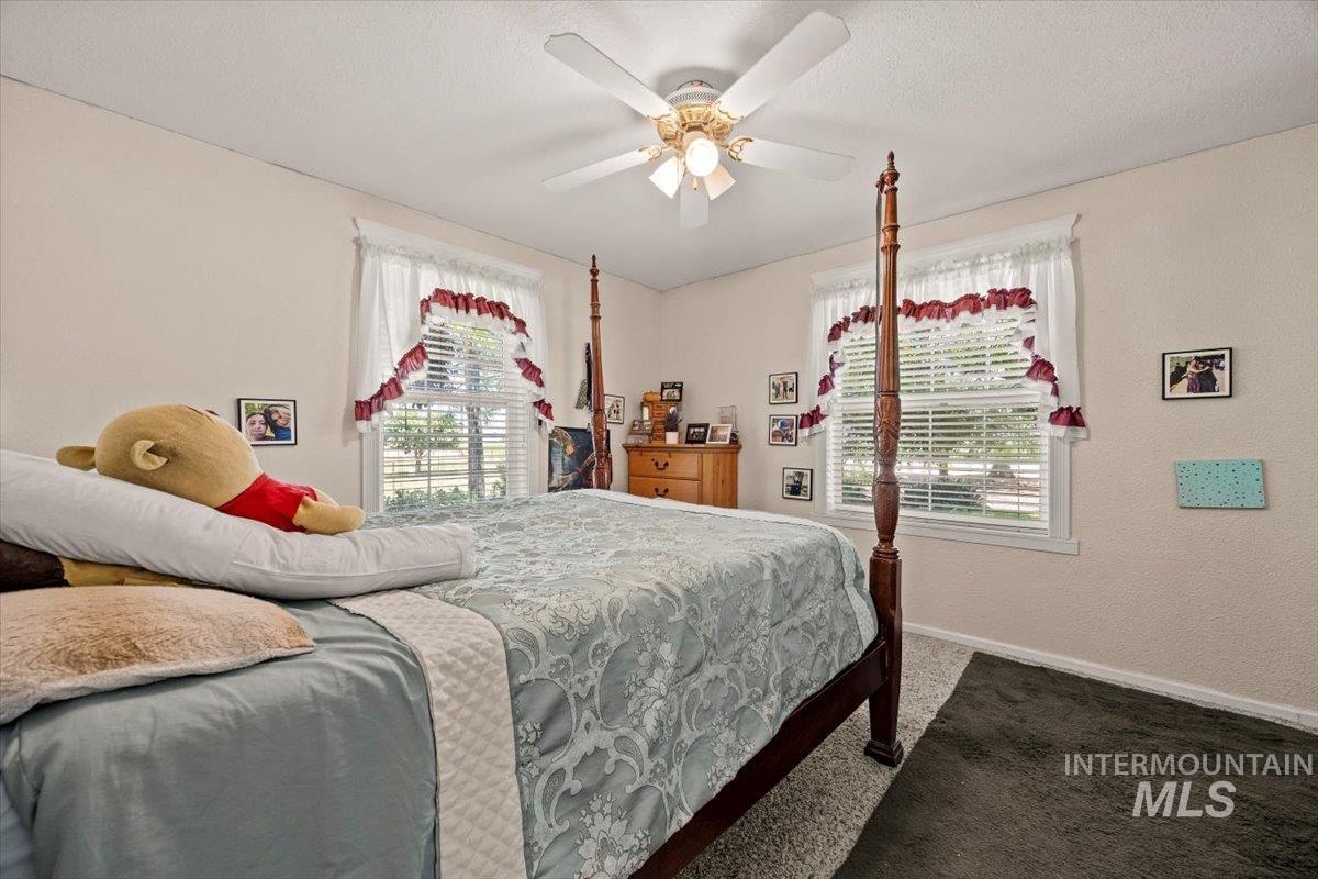Carpeted bedroom with multiple windows and ceiling fan