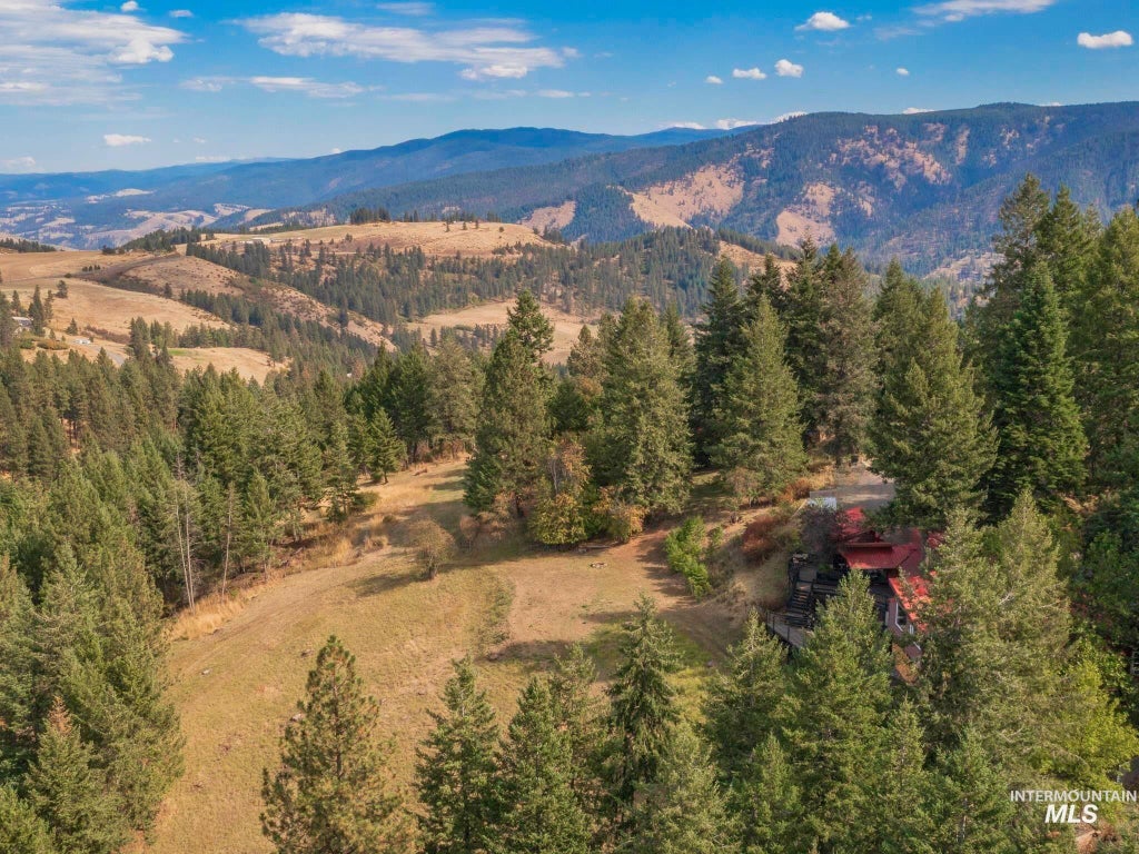 Photo of 267 Black Tail Lane, Grangeville, ID 83530 (MLS # 98995550)