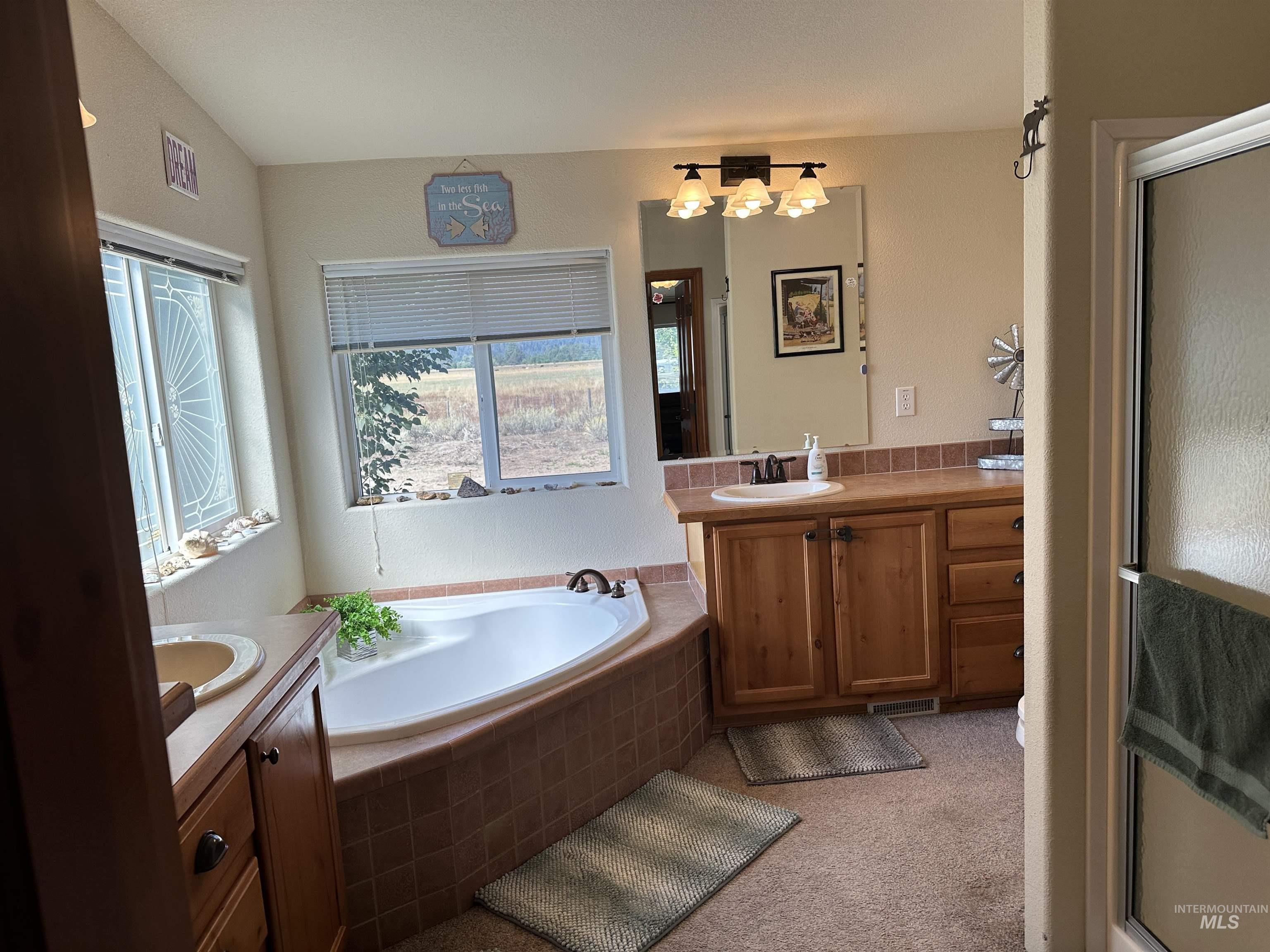 Full bathroom with vanity, a garden tub, and a stall shower