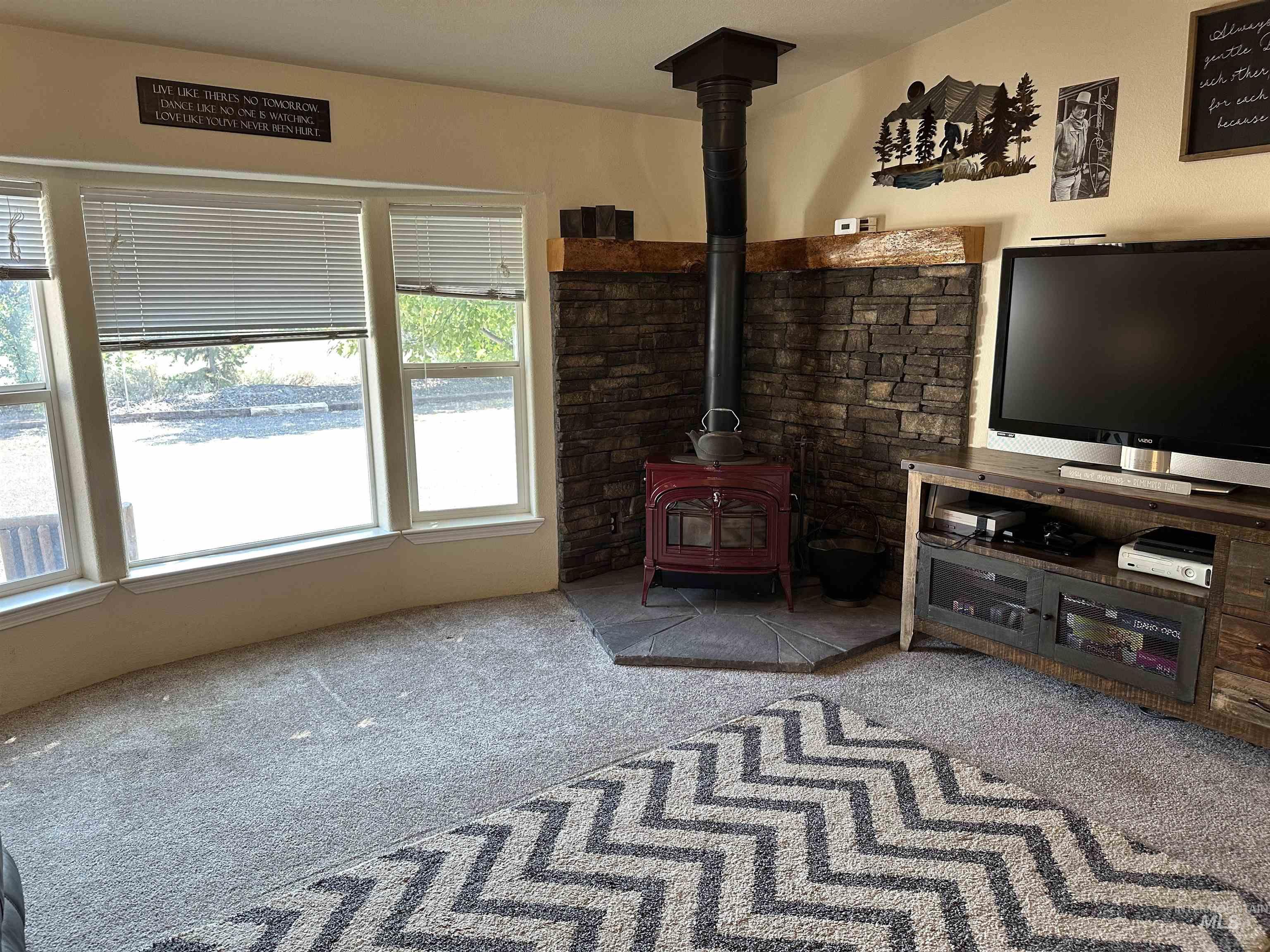 Living room with a wood stove and carpet