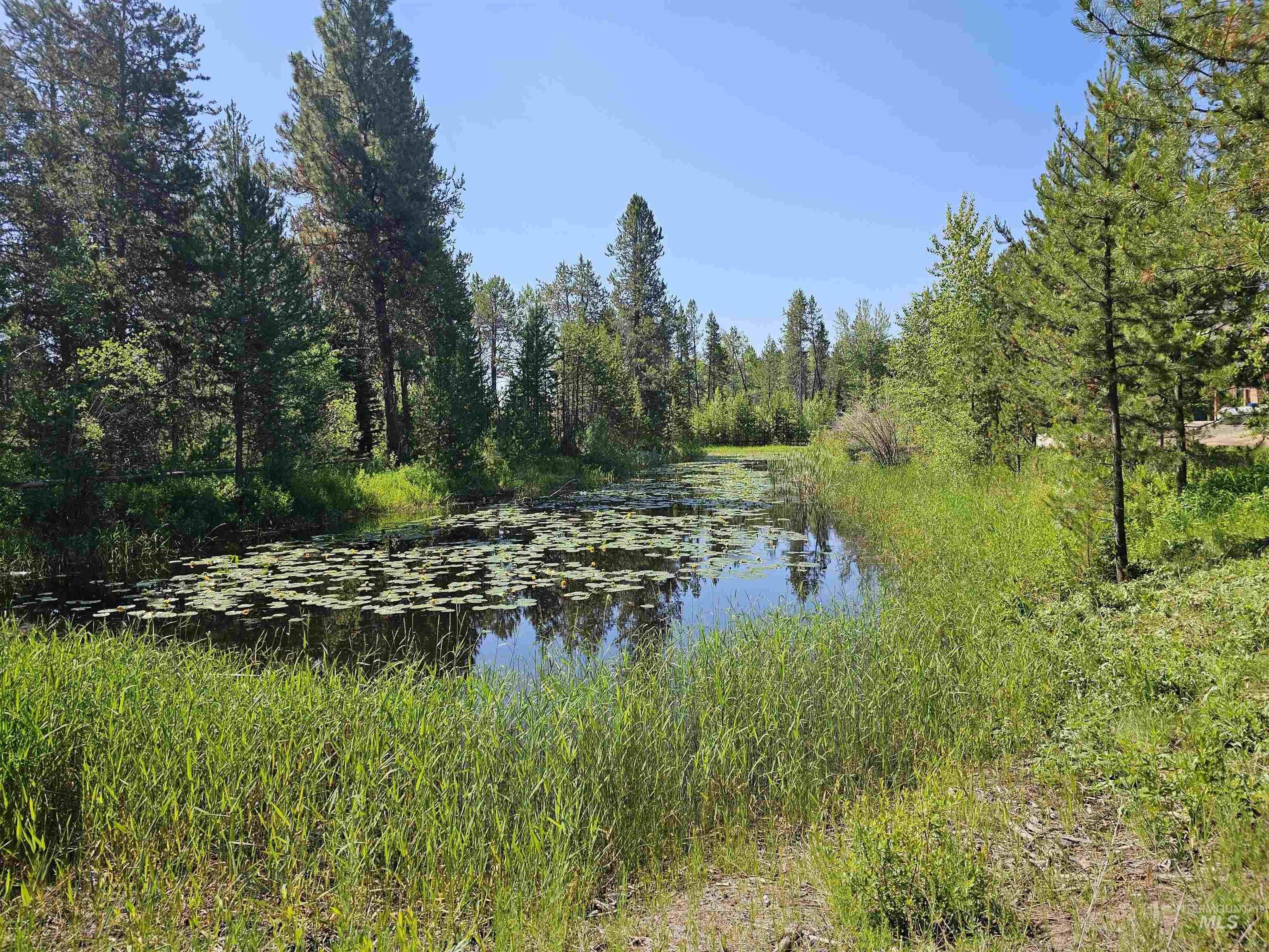 Lagoon behind house. Full of beautiful lily pads and connects to the lake during the highwater season. Public land behind the lagoon guarantees no neighbors ever behind you.