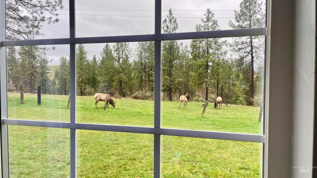 Photo of 637 Leitch Creek Rd, Kooskia, ID 83539 (MLS # 98982115)