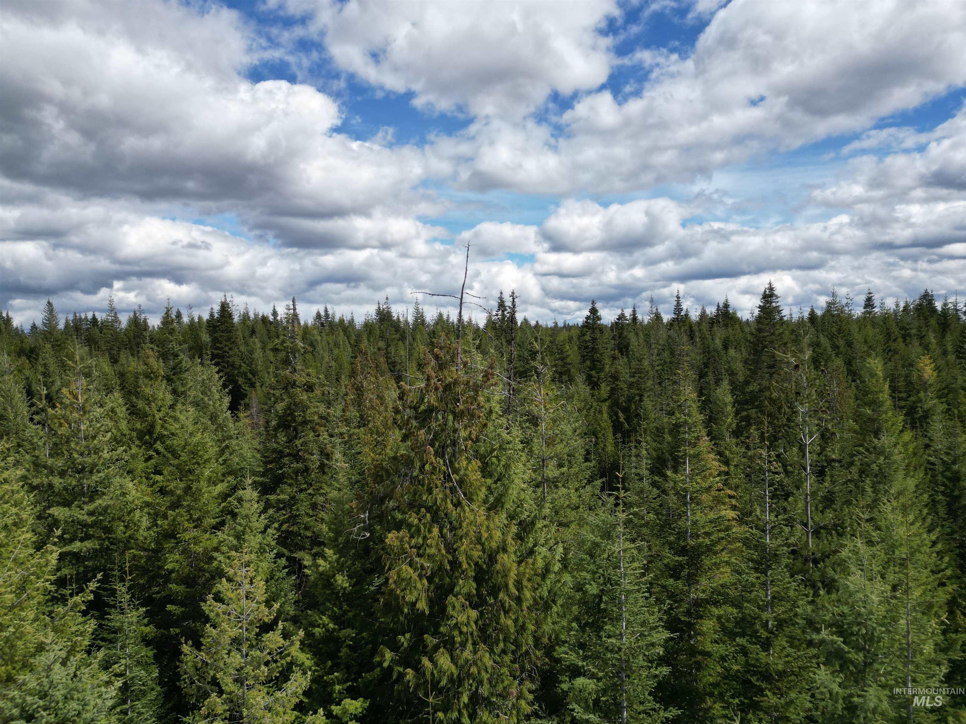 TBD Lot #9 Spring Lane