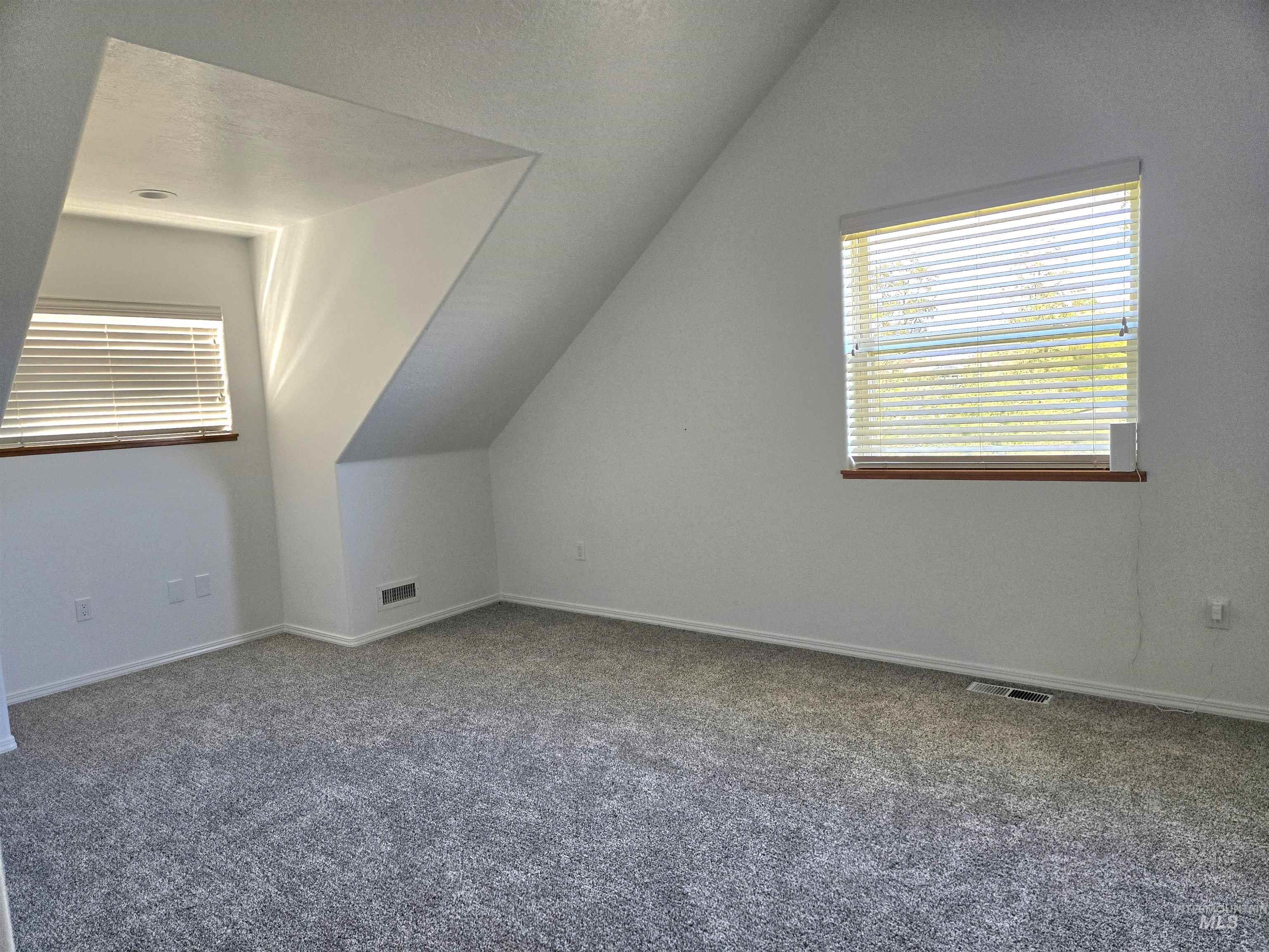 Additional living space with carpet and vaulted ceiling