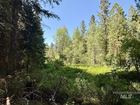 83 Panorama Drive Cascade ID 83611