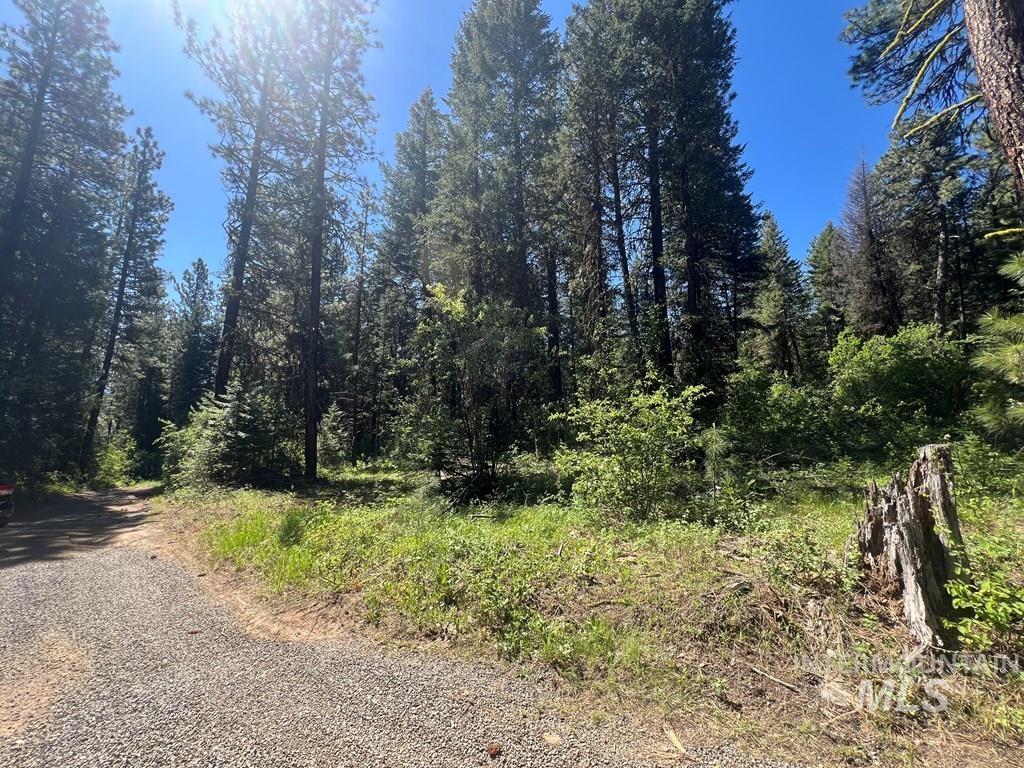 533 Henglow Dr.