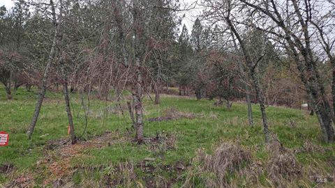 Photo of TBD Pine St Blk 56, Lot 2, Peck, ID 83545 (MLS # 98908757)