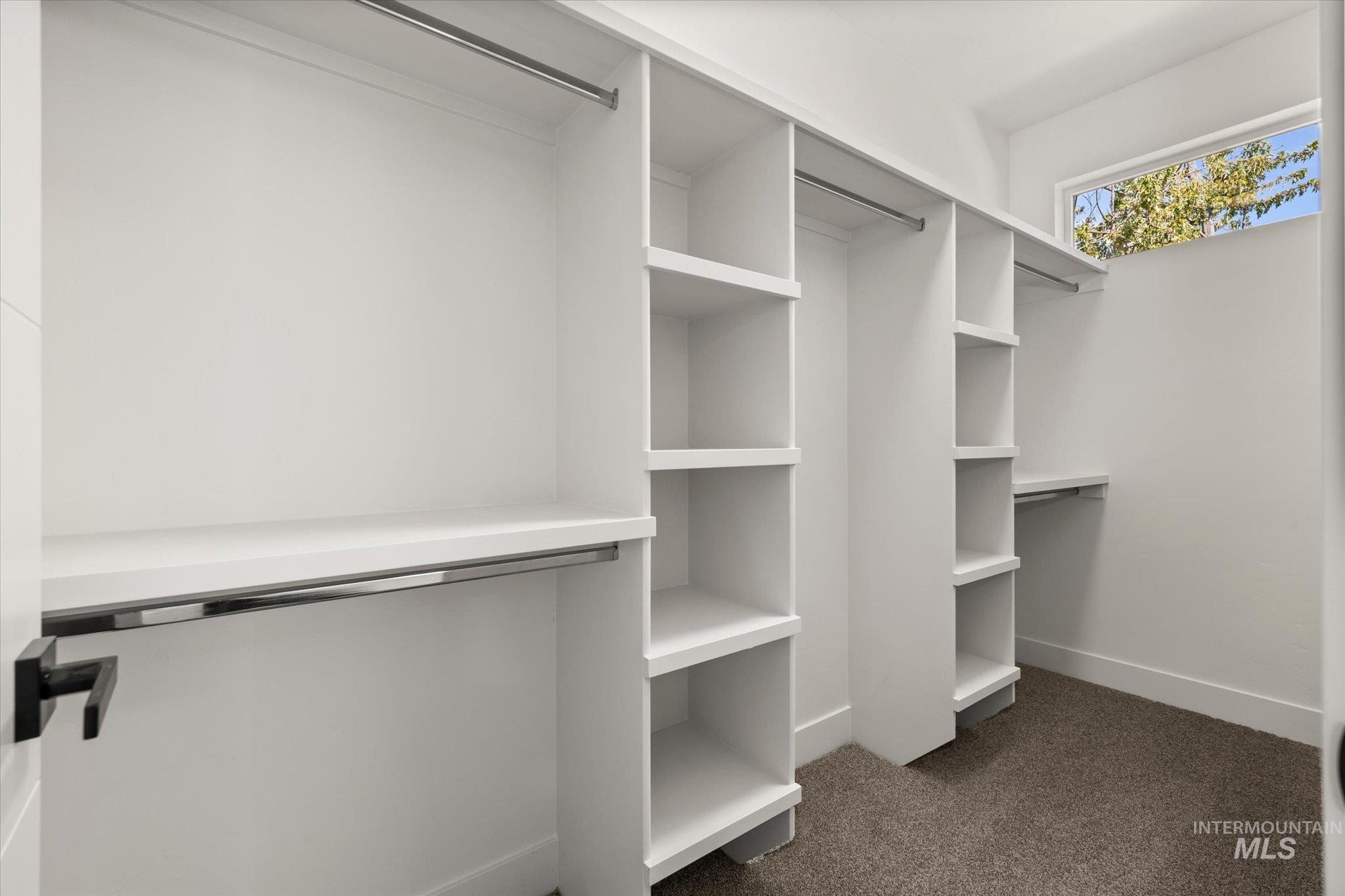 Walk in closet with dark carpet
