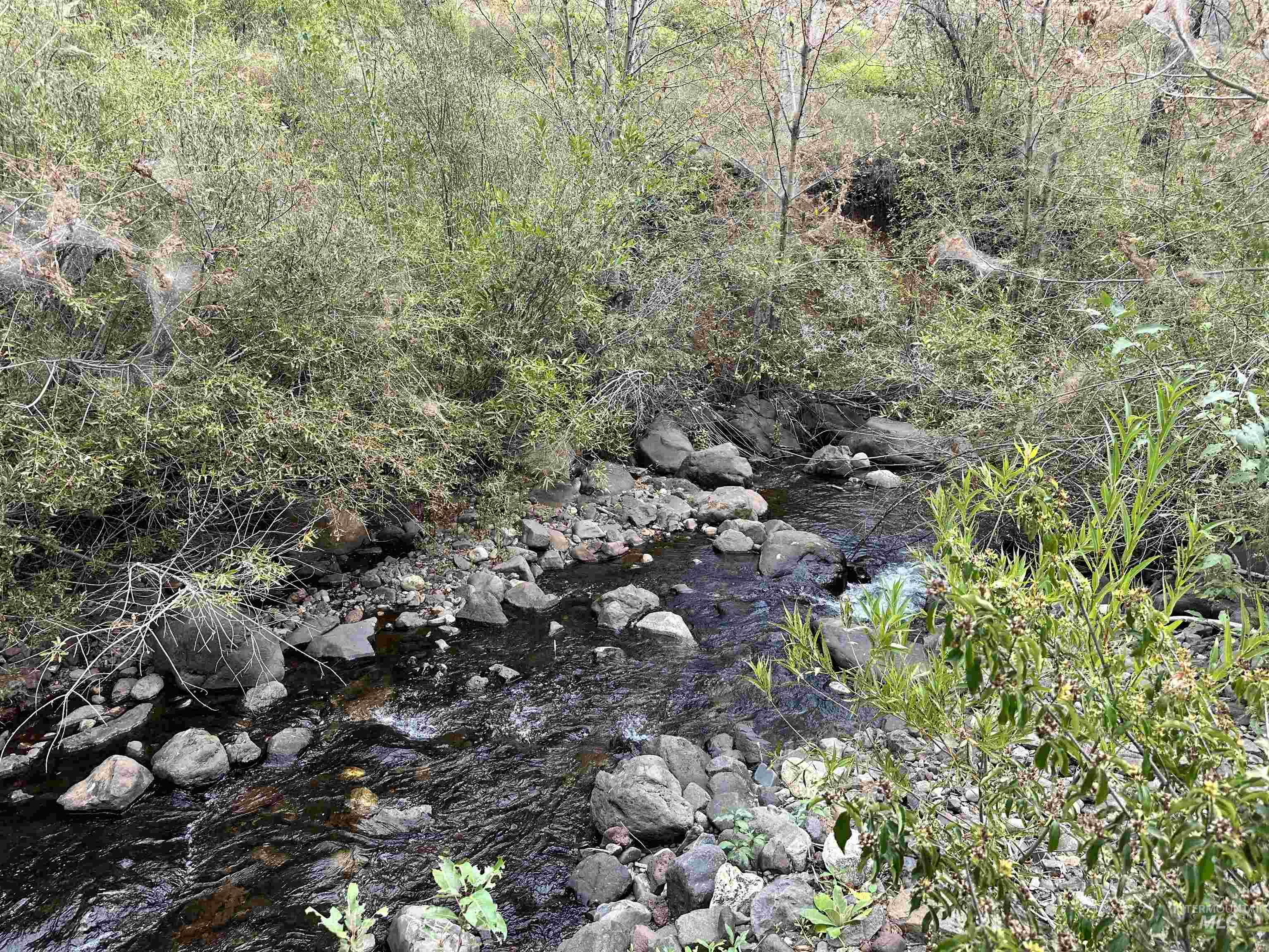 View of undeveloped land