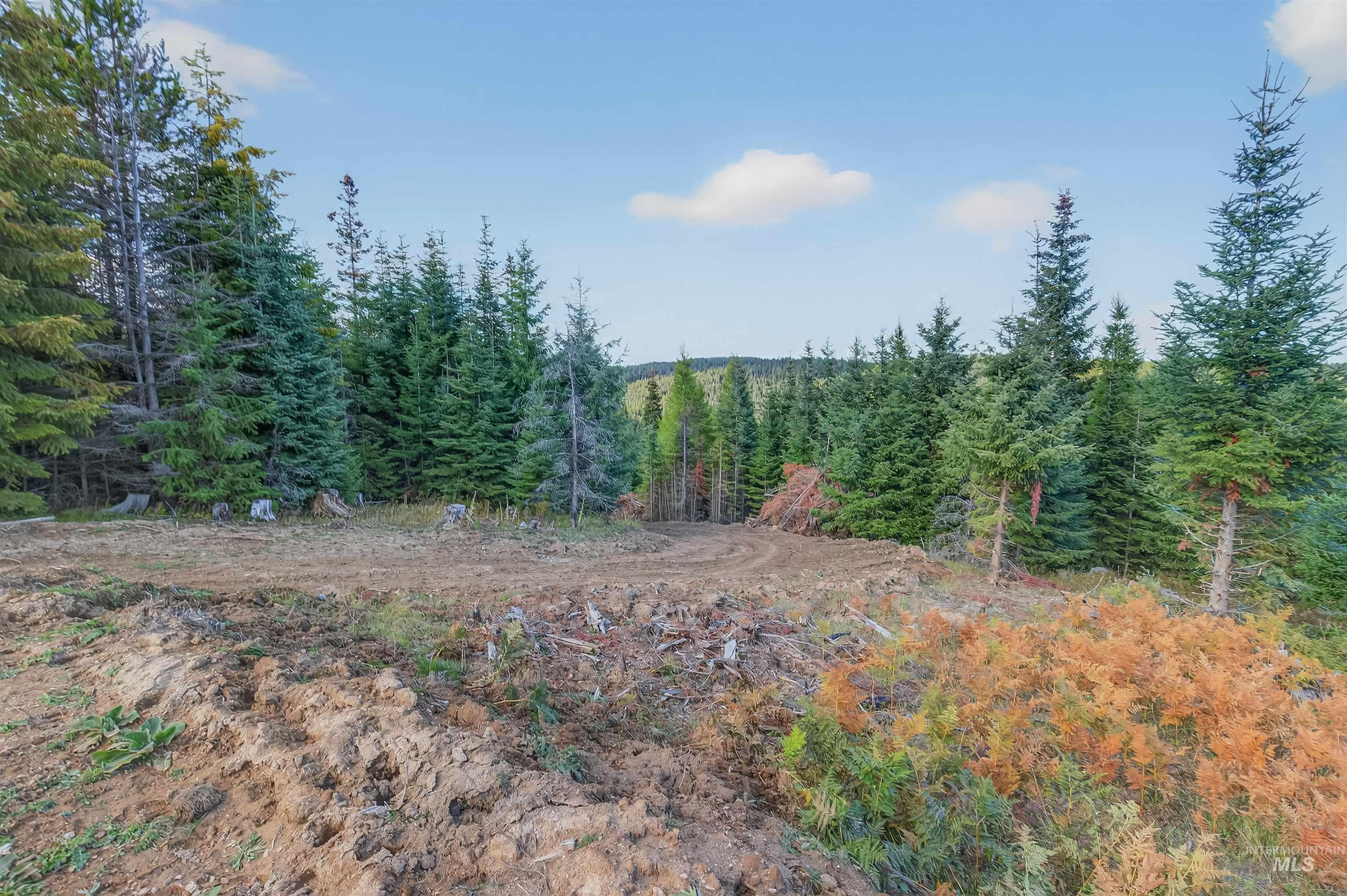 TBD Parcel 9 Tree Farm Trails Road