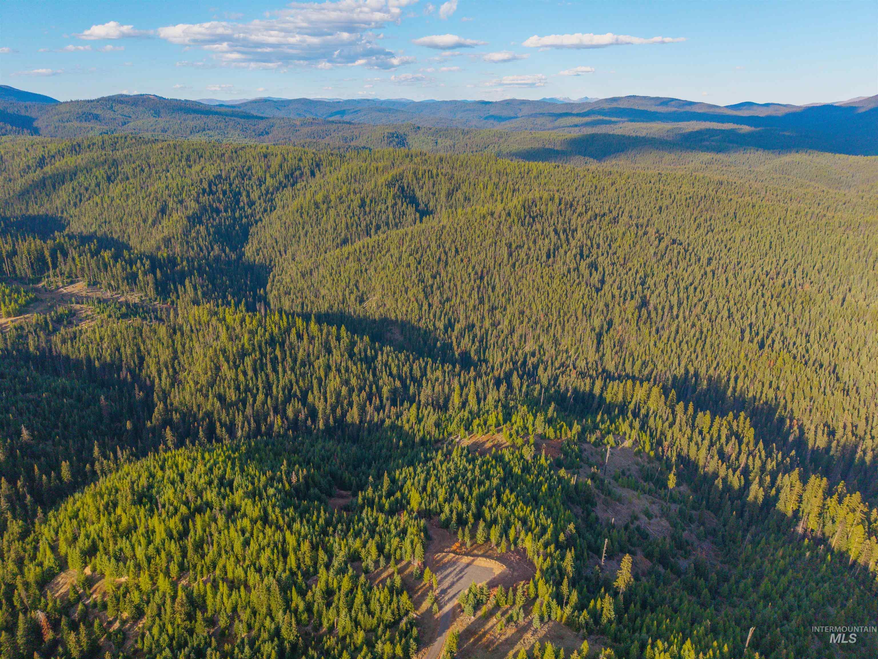 TBD Parcel 9 Tree Farm Trails Road